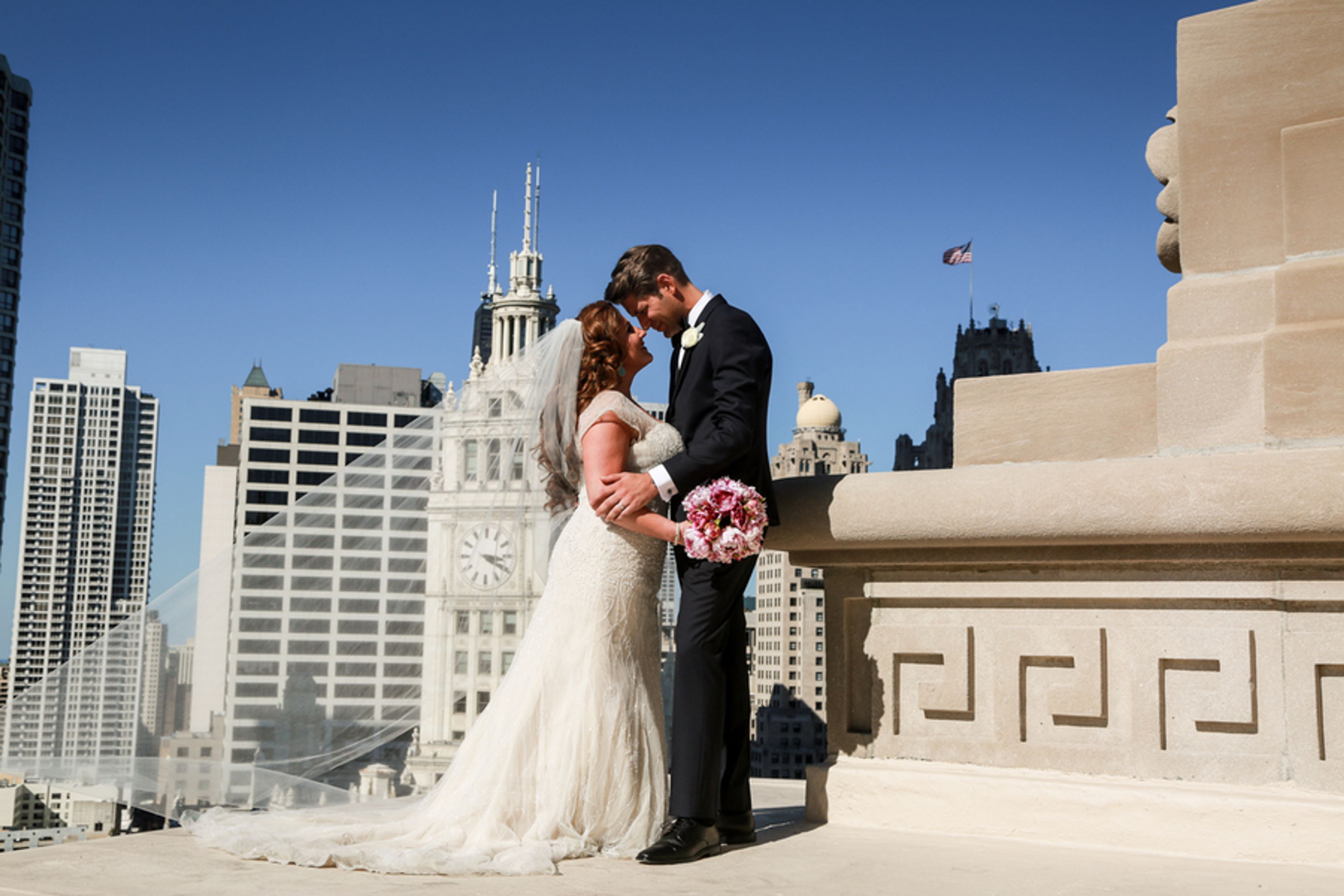 Cover photo of Rose Photo