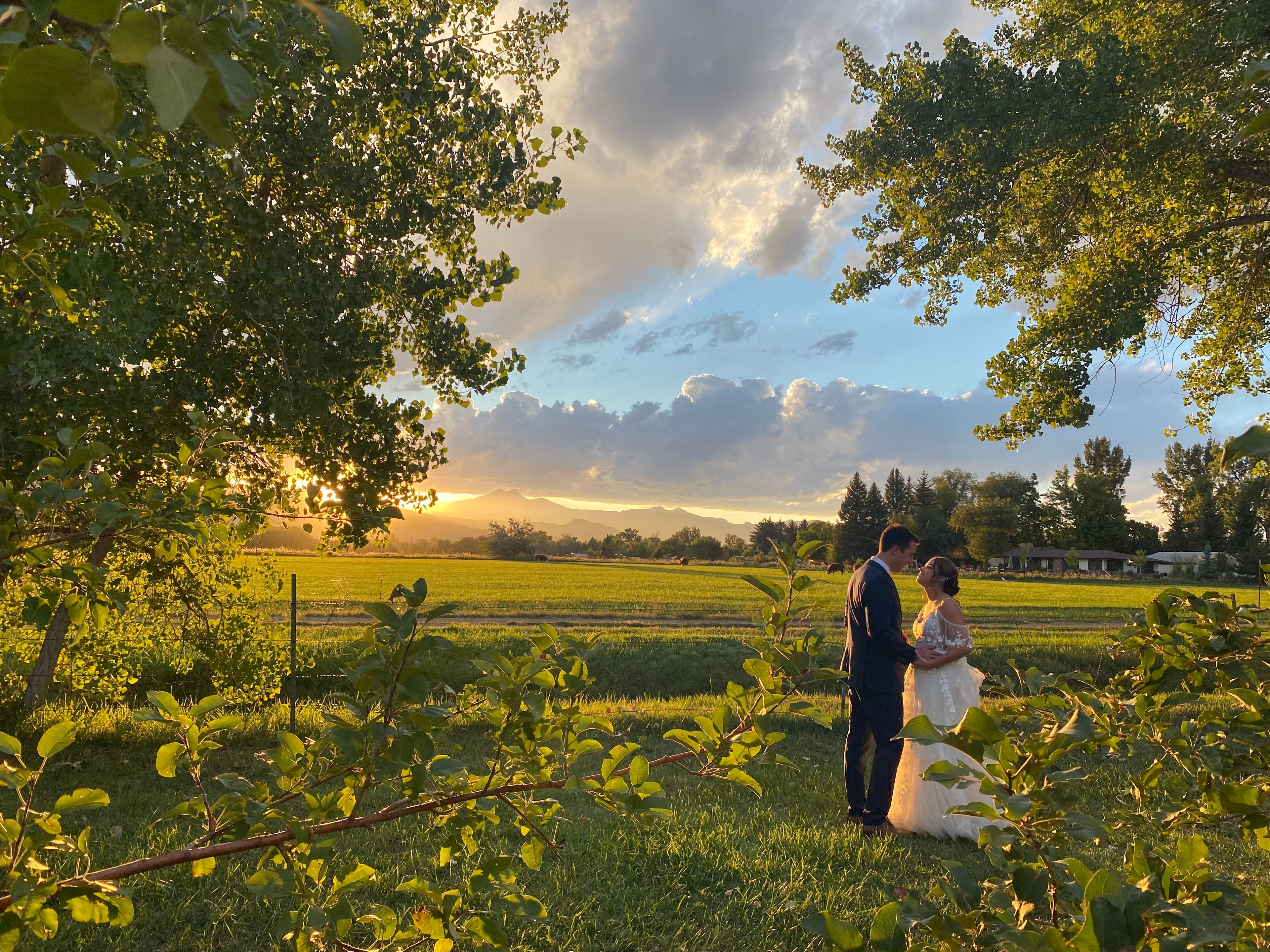 Cover photo of Four O'Clock Events