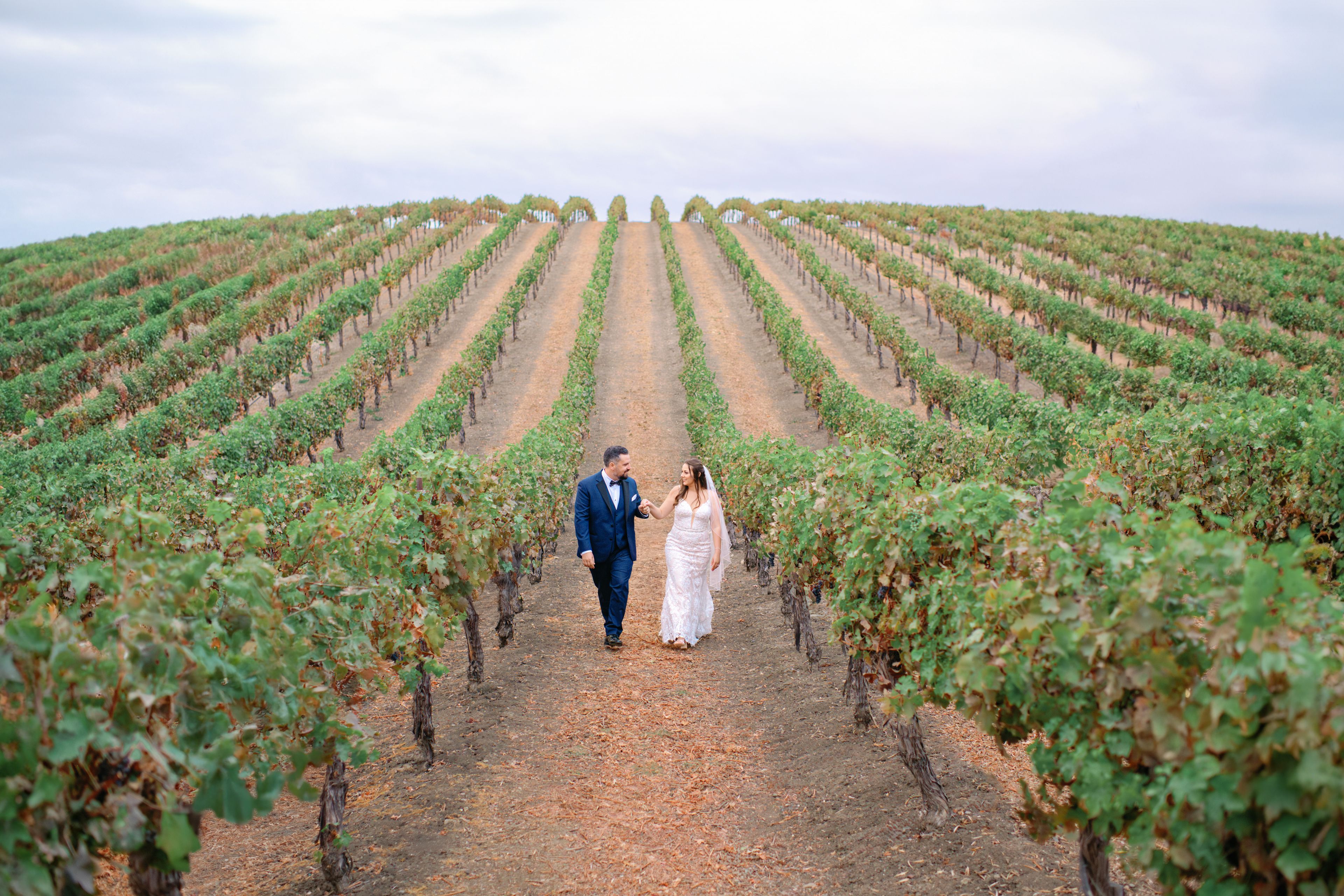 Cover photo of Royce Dove Photography