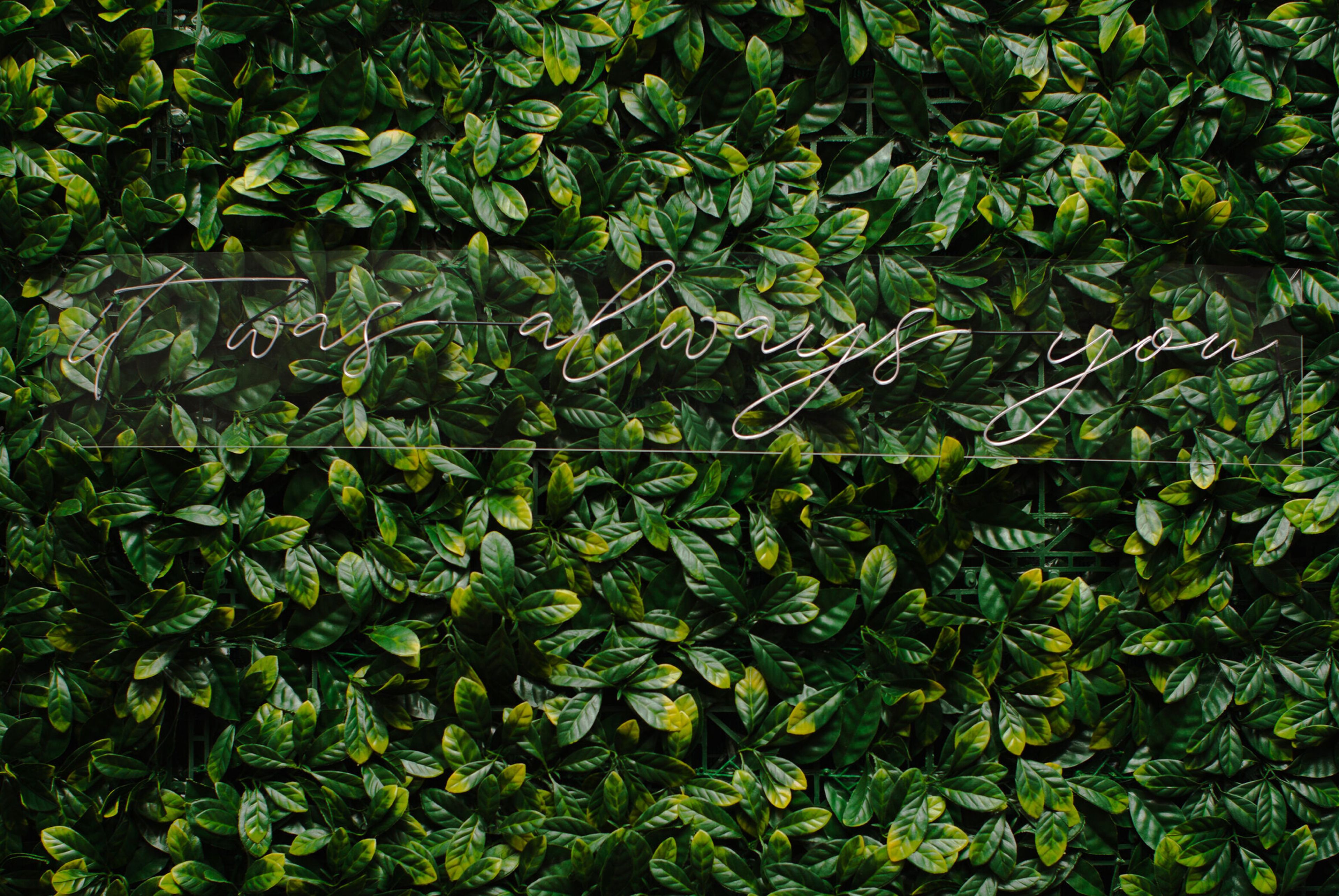 Cover photo of MLE Celebrations