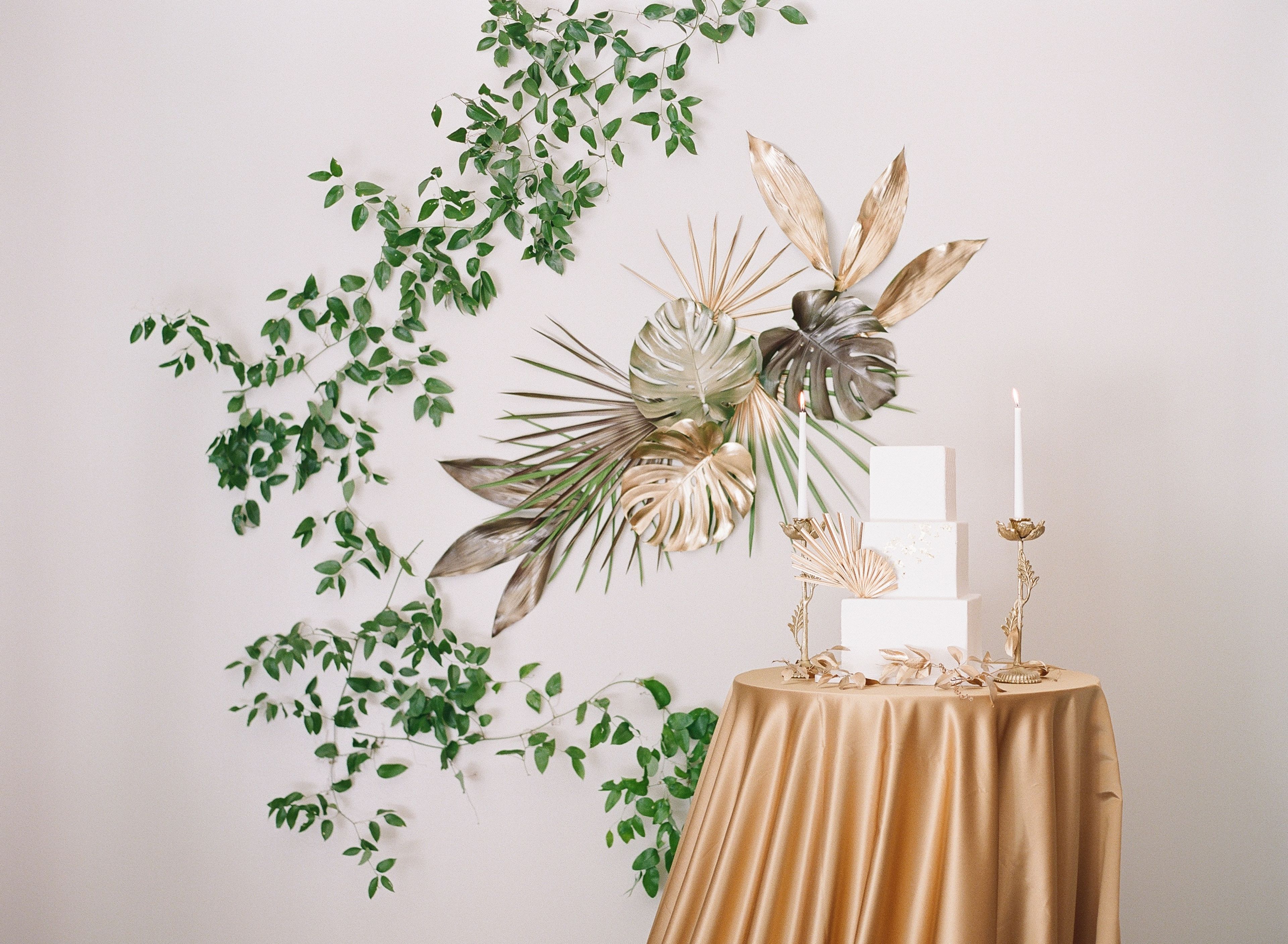 Cover photo of Amy Kolo