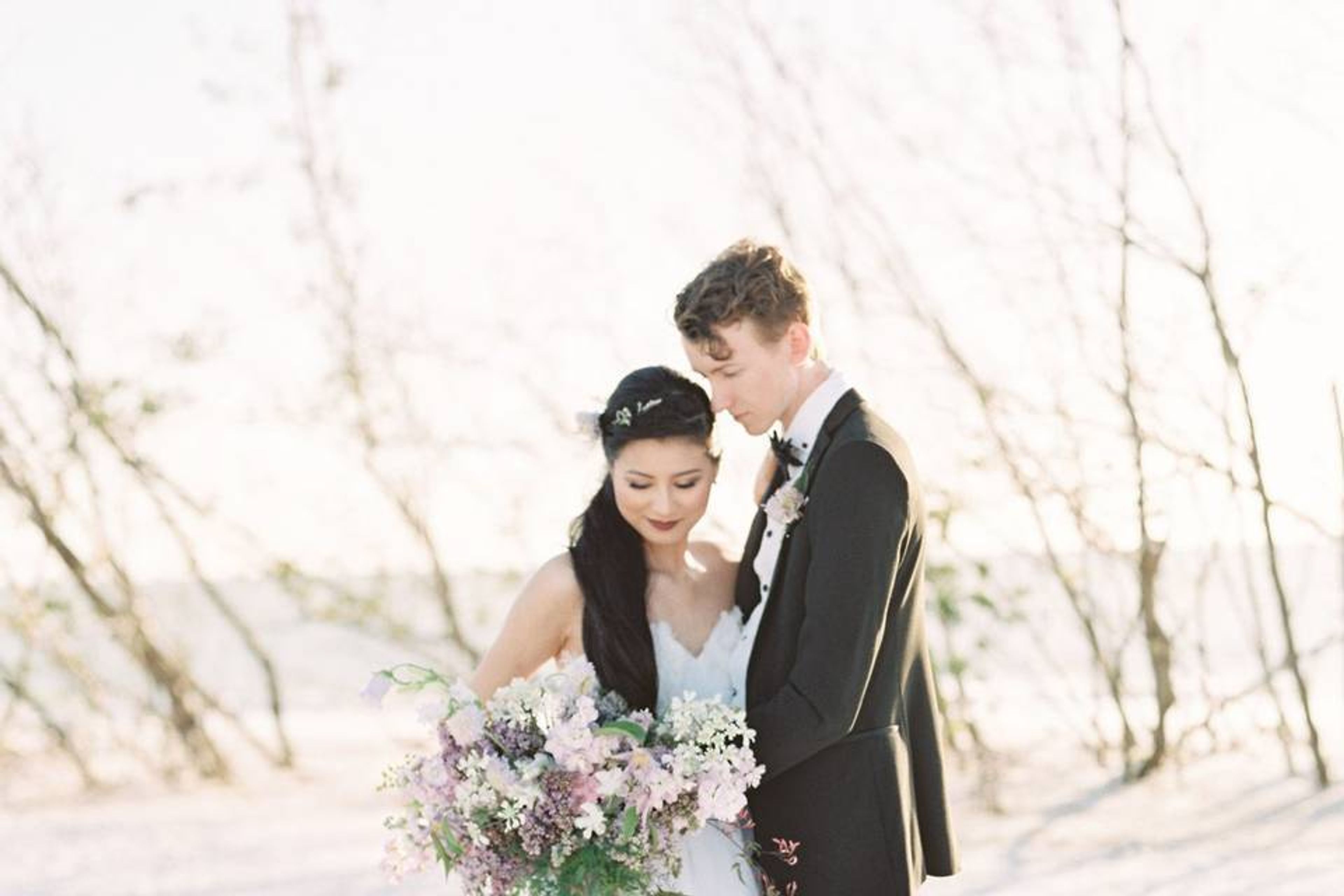 Cover photo of The Apostolic Wife