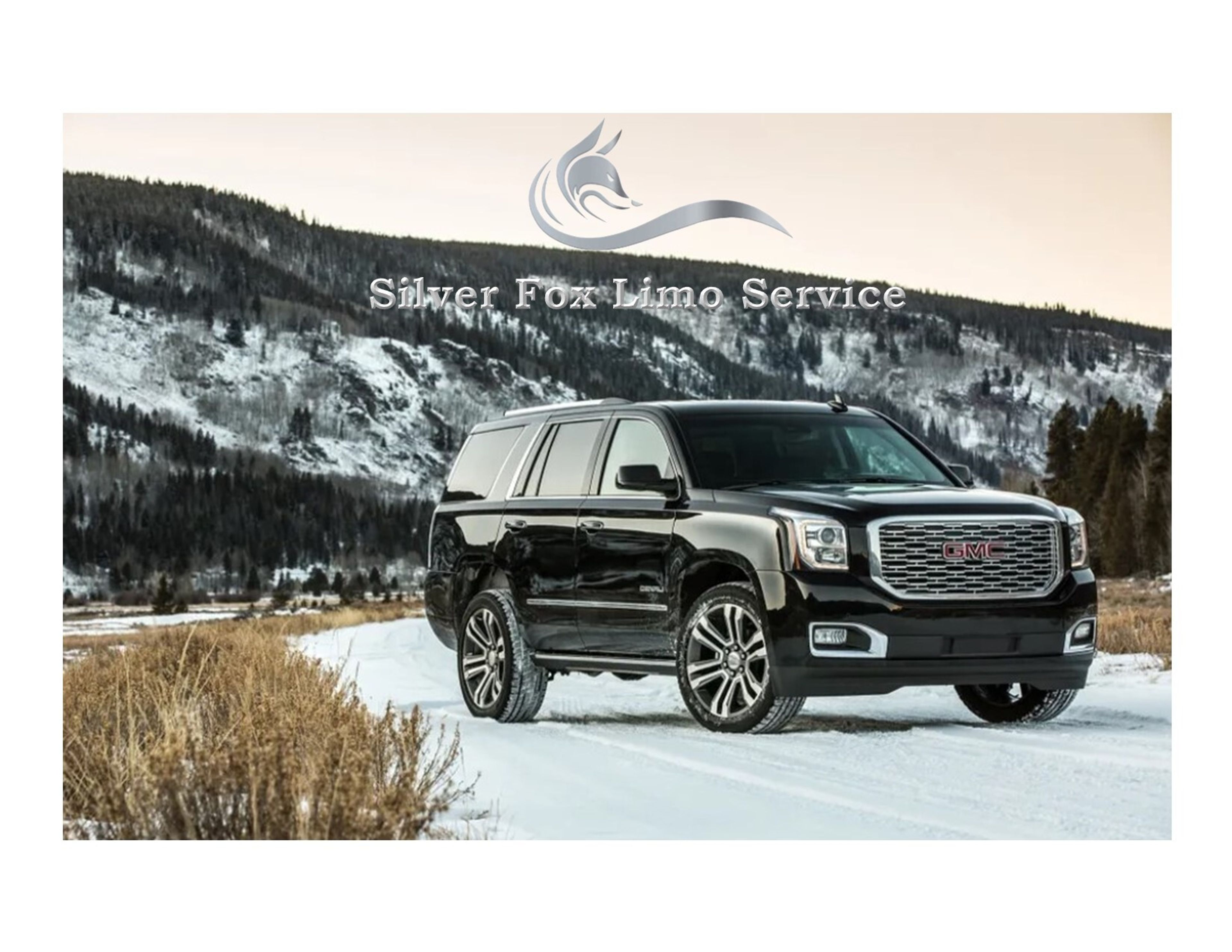 Cover photo of Silver Fox Transportation