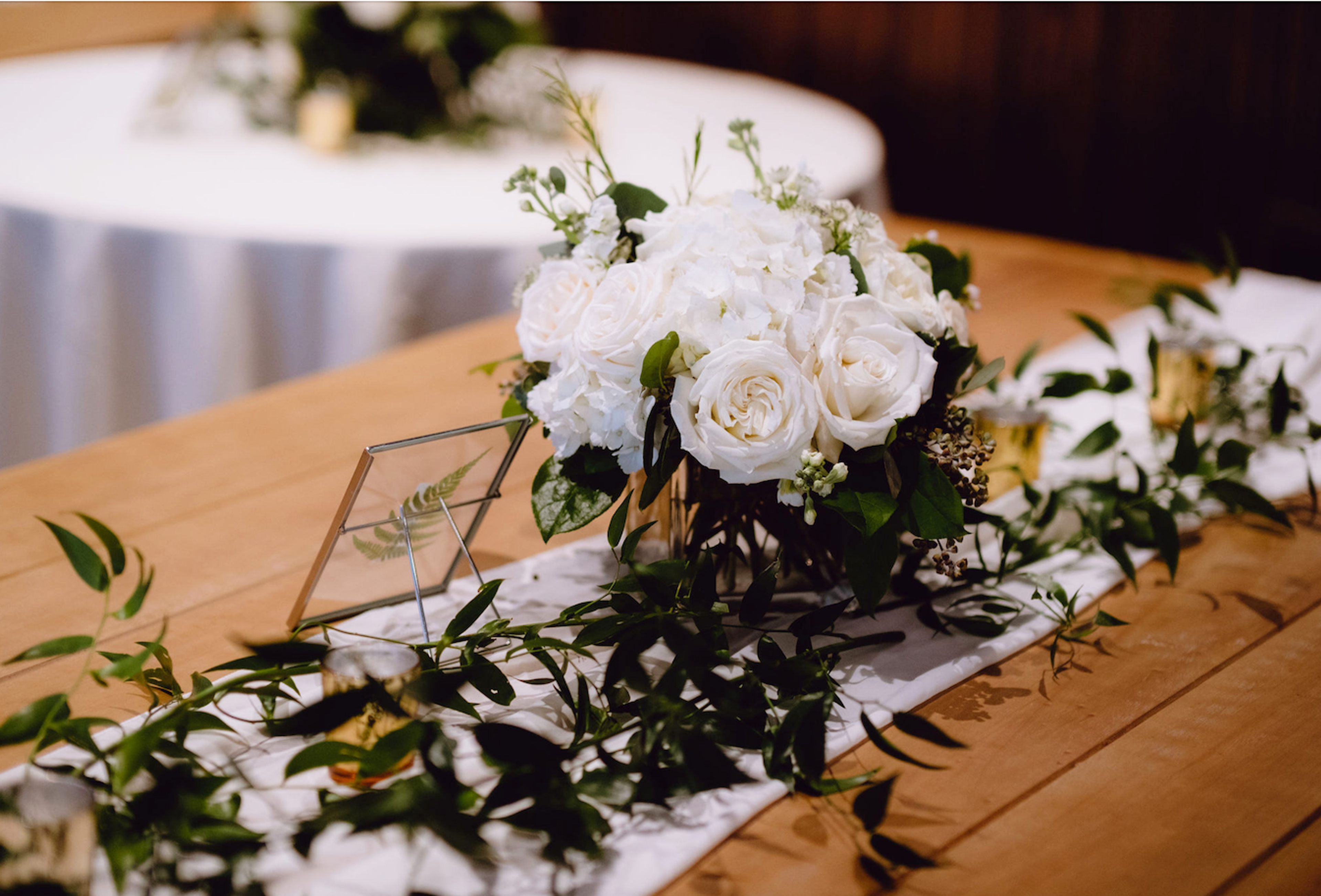 Cover photo of Juniper by Tonic