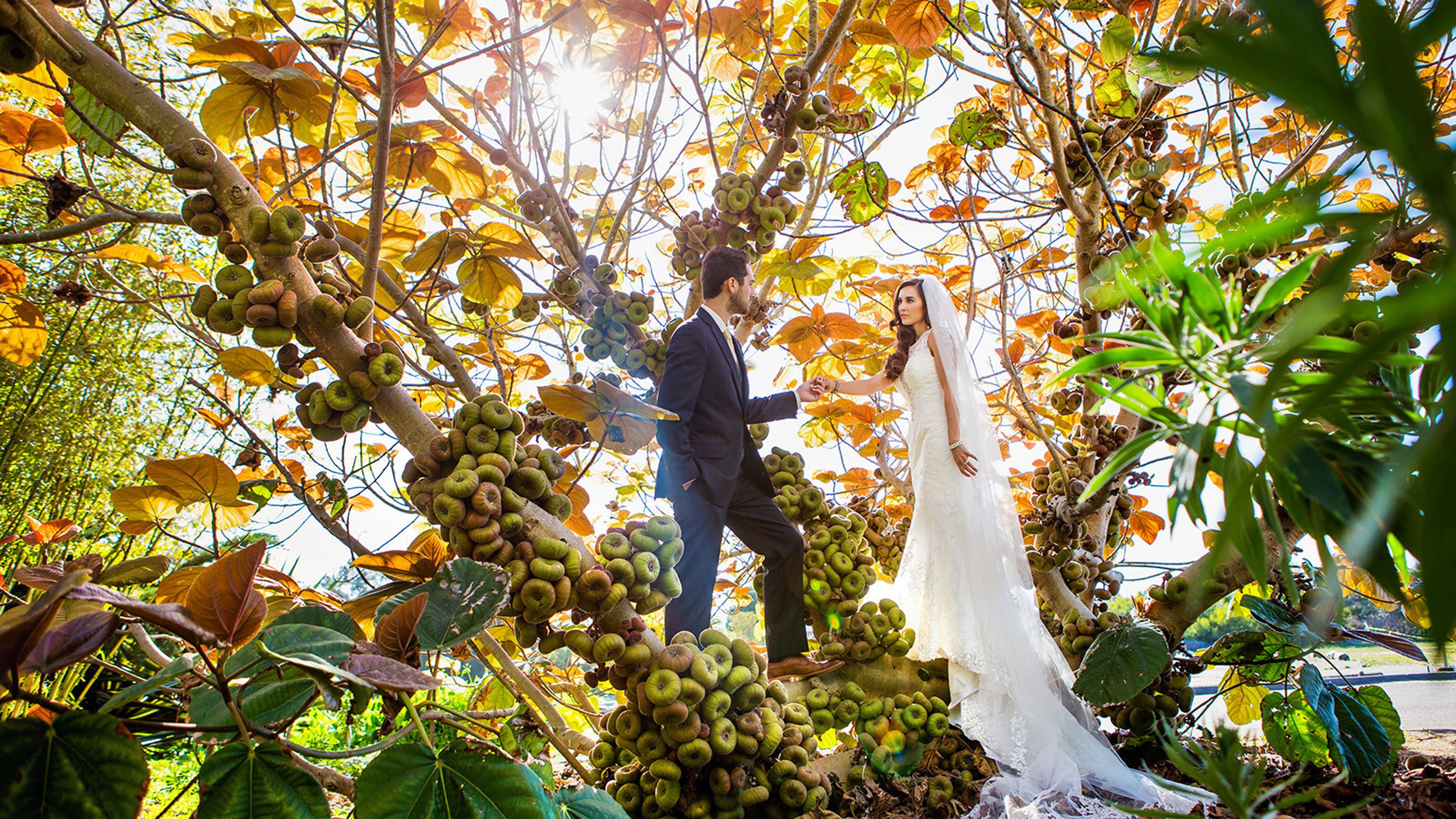 Cover photo of Tatiana M. Photography