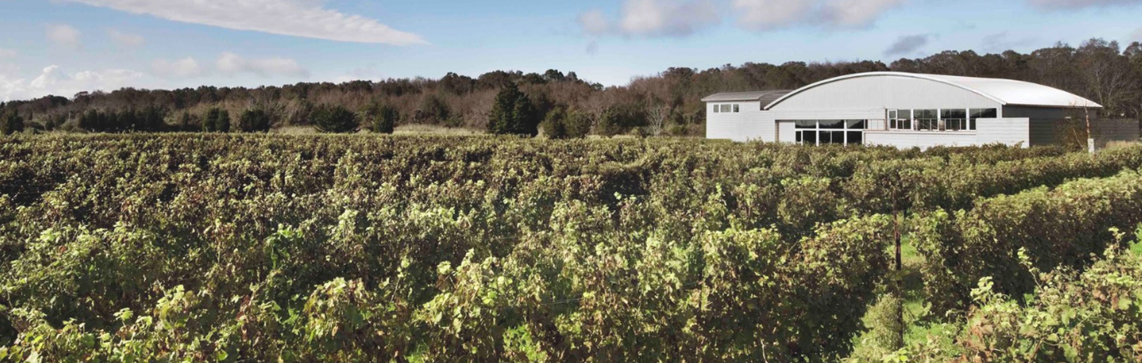 Cover photo of Saltwater Farm Vineyard