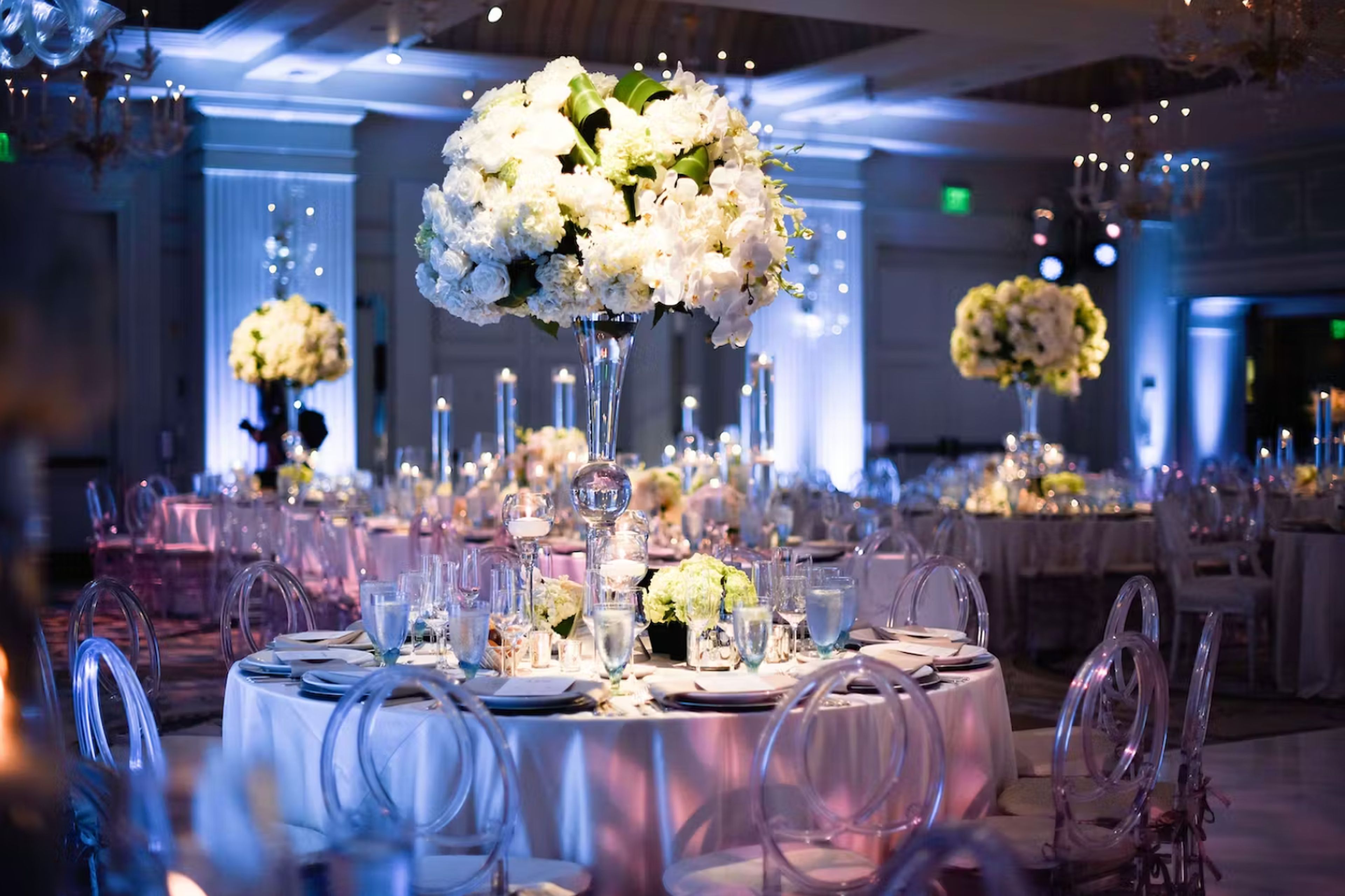 Cover photo of Hudson & Nine