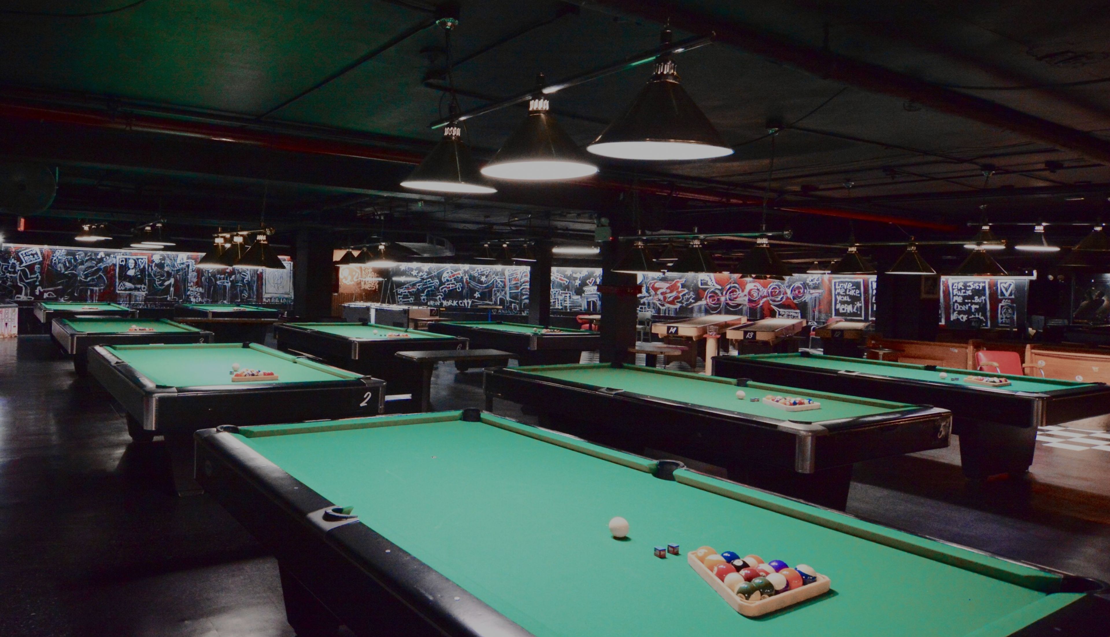 Cover photo of Cellar Dog