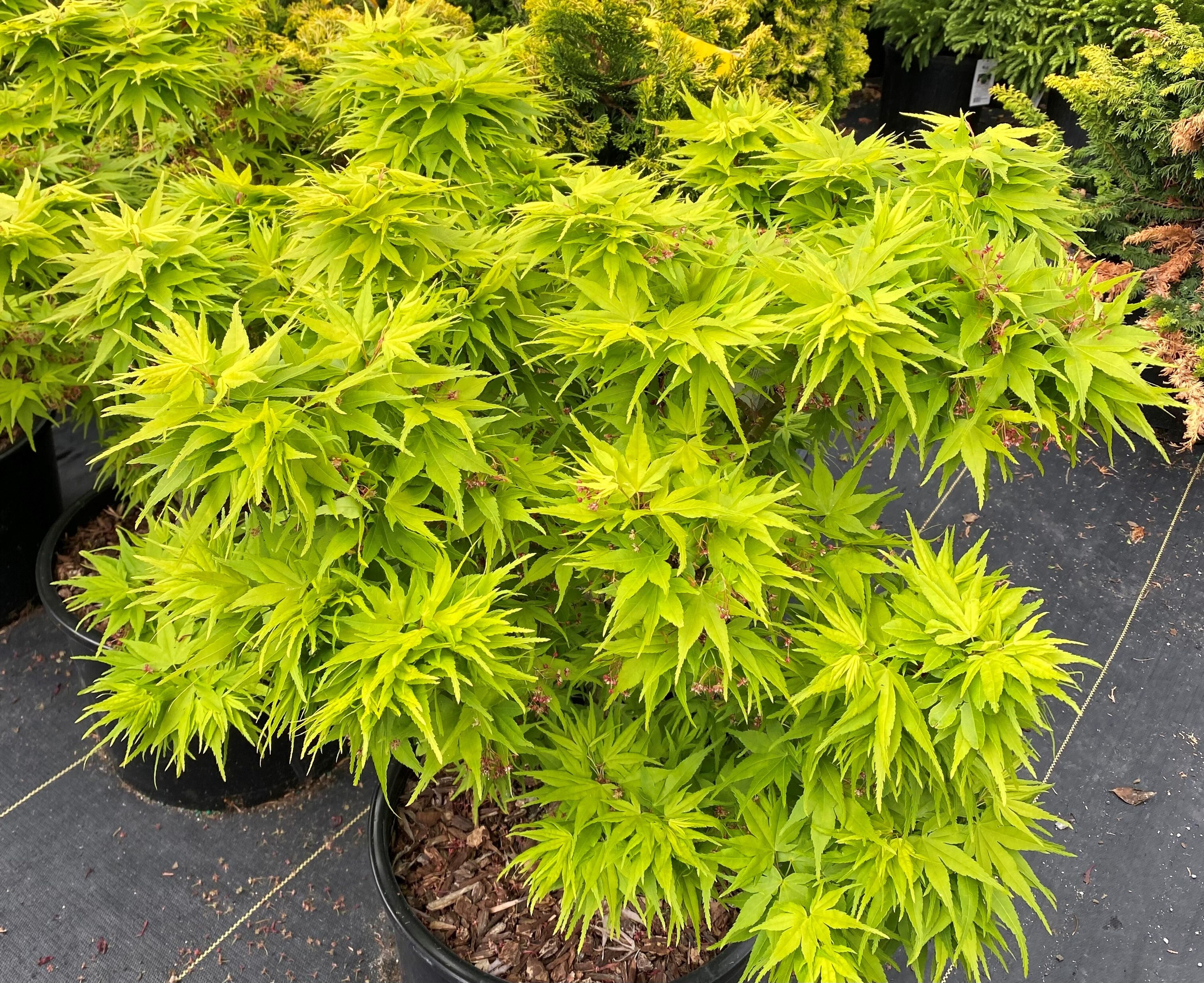 Cover photo of Hicks Commercial Sales