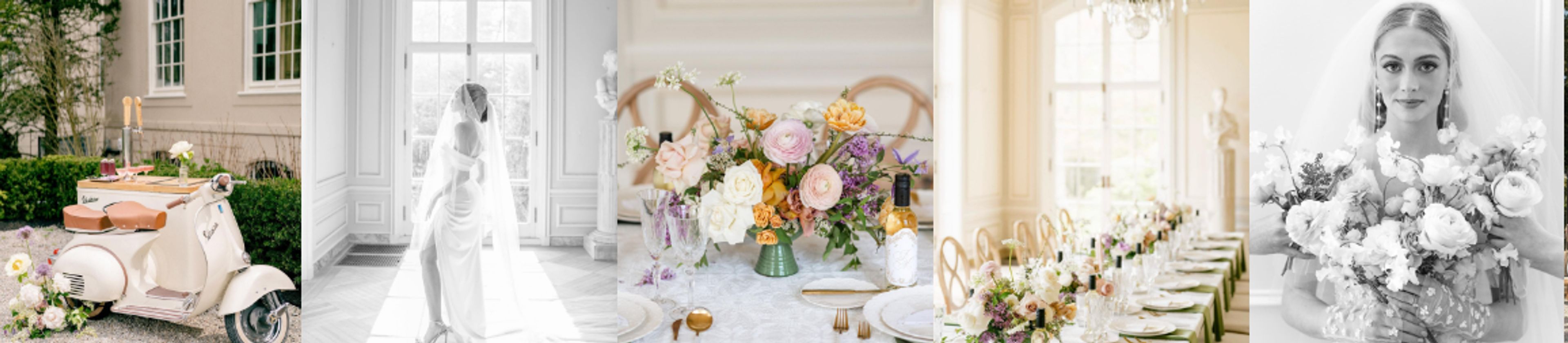 Cover photo of Stephanie King Events