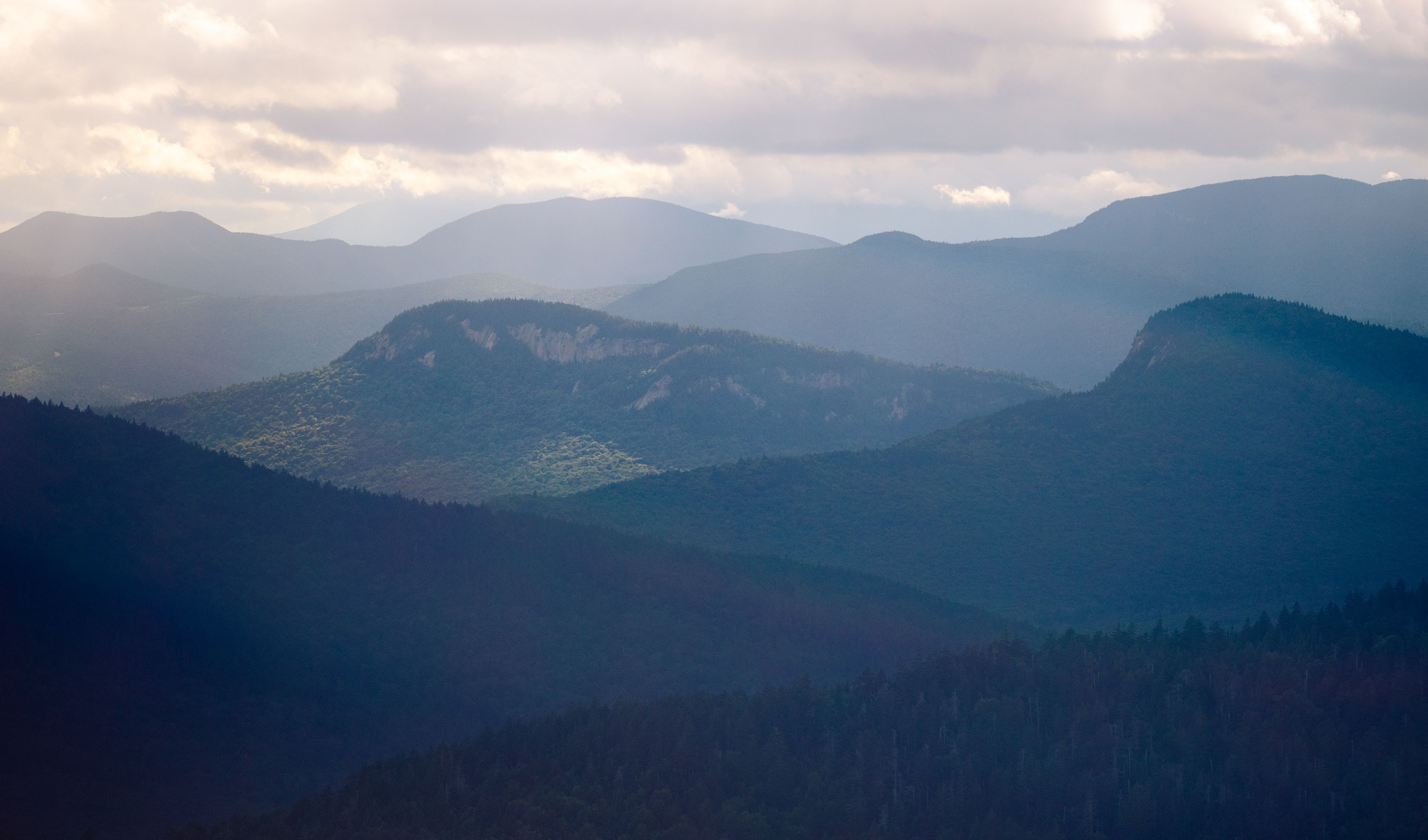 Cover photo of Natural Focus Films