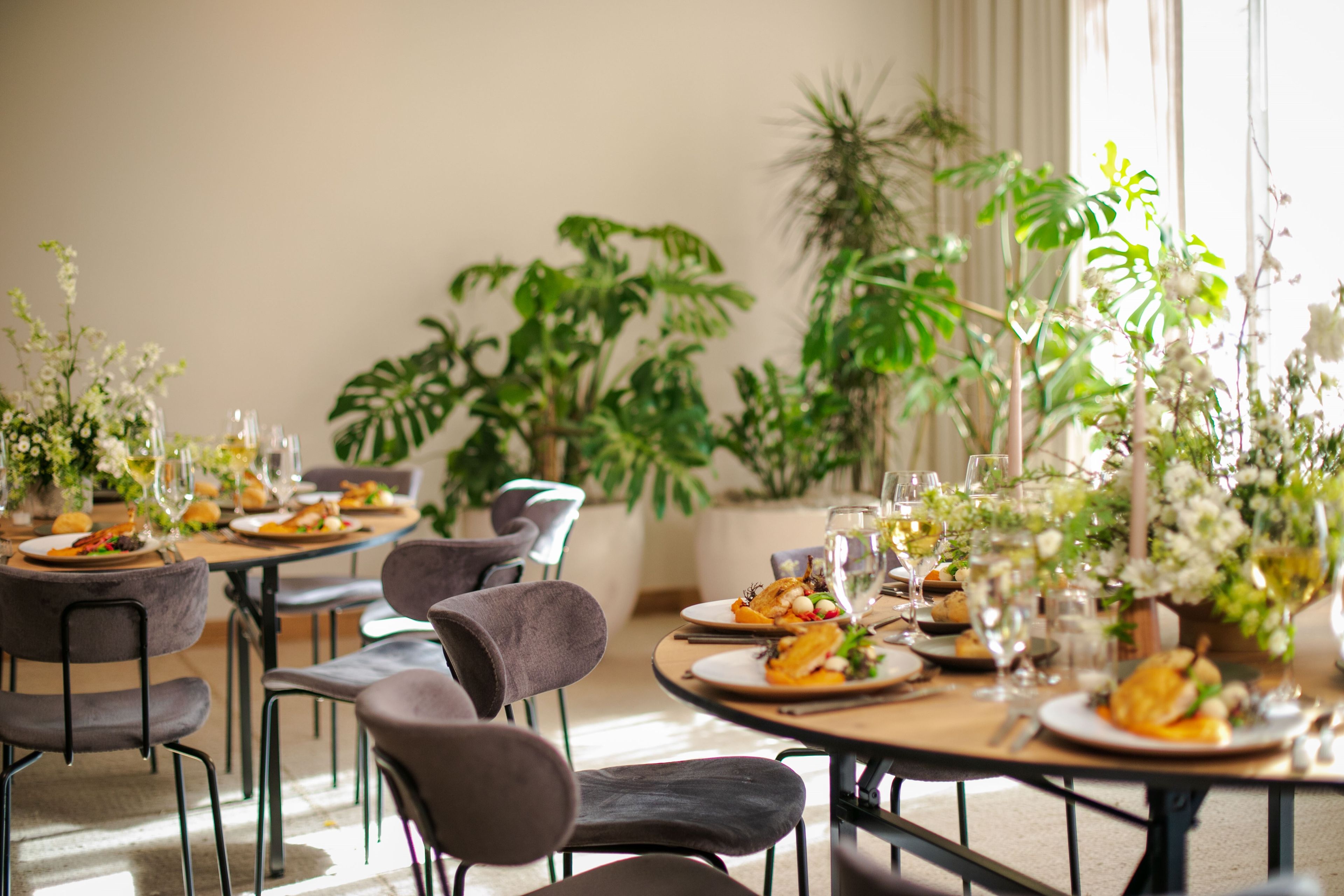 Cover photo of 1 Hotel San Francisco