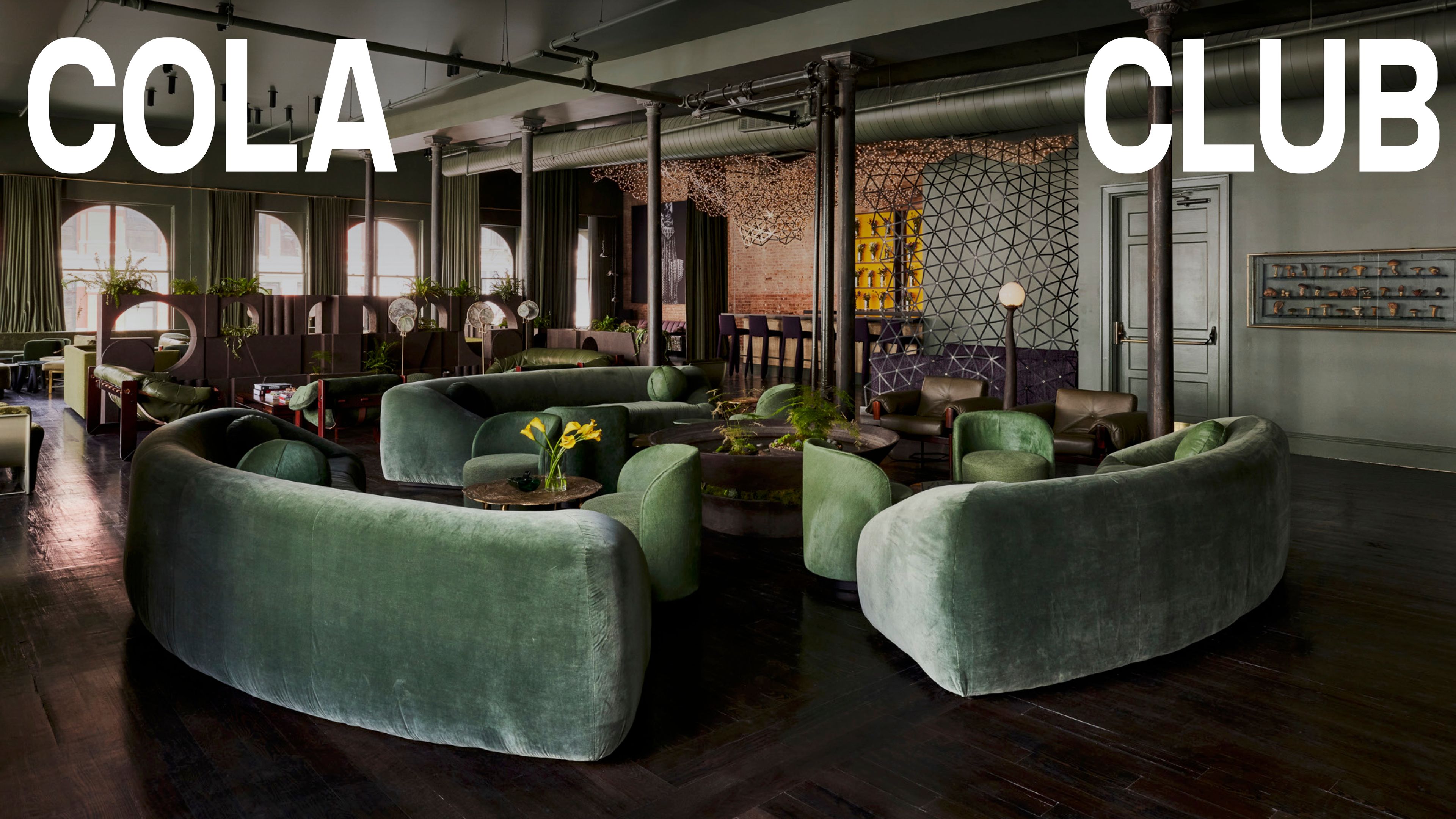 Cover photo of Cola Club