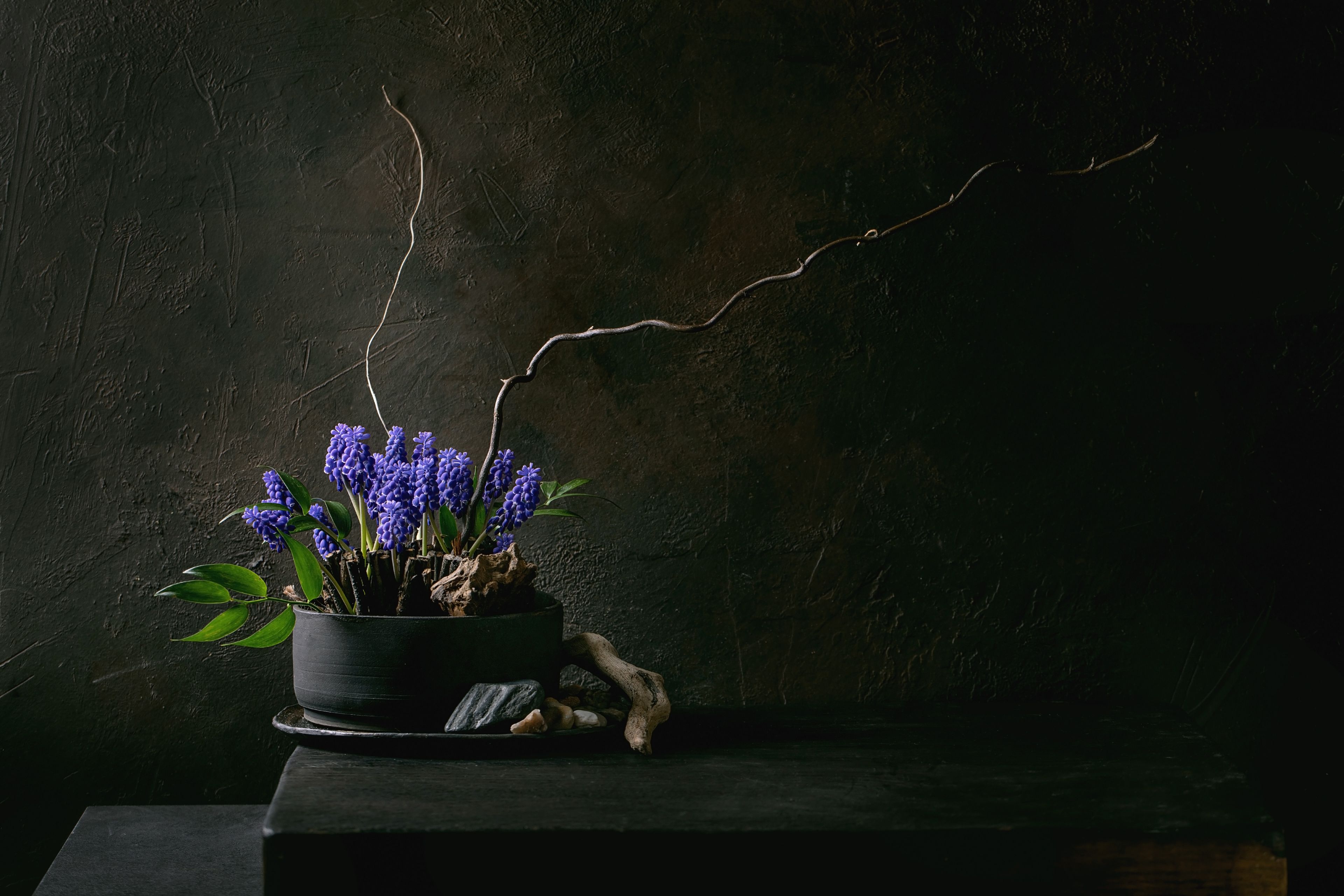 Cover photo of Ikebana Design Group