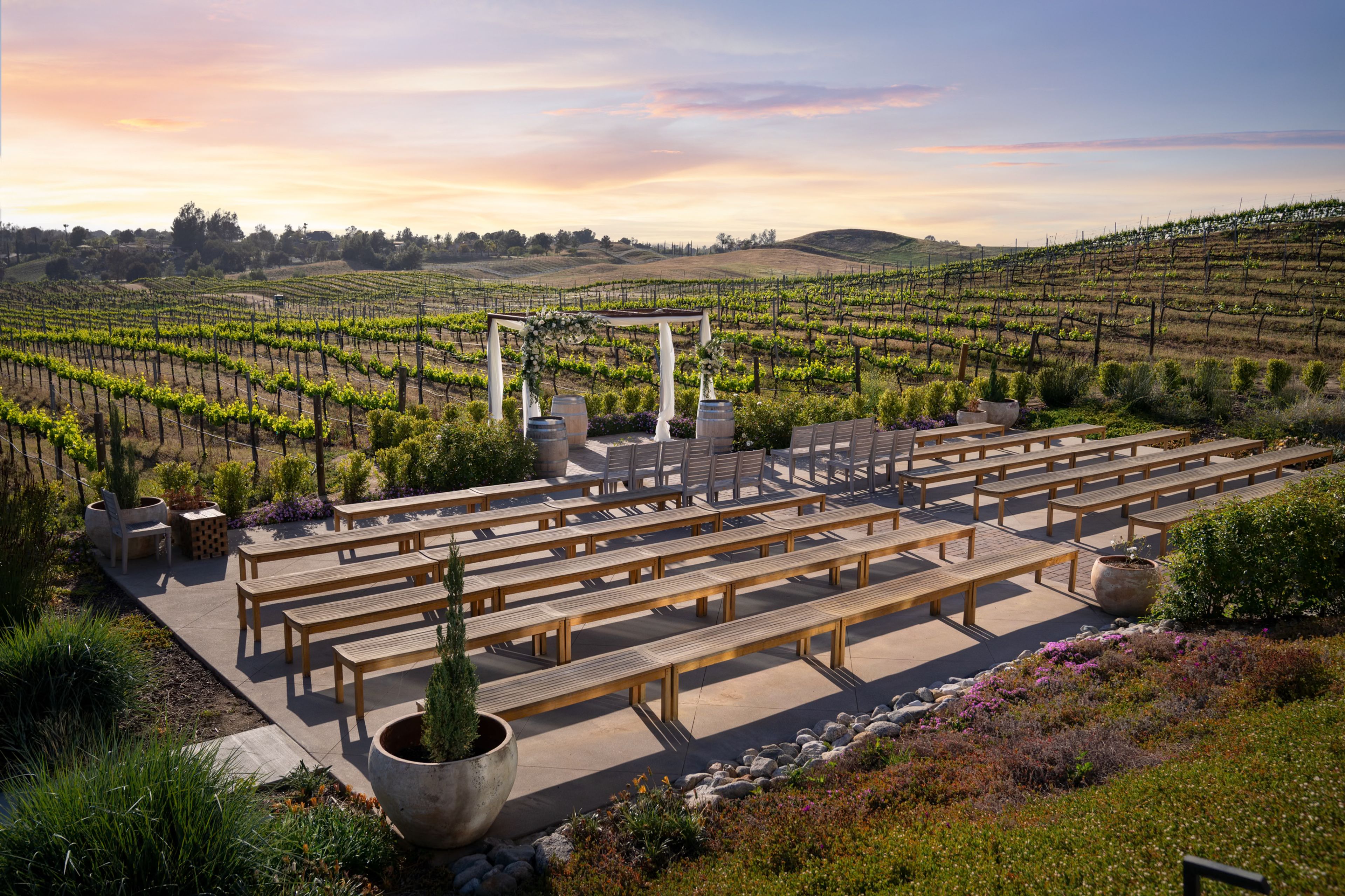 Cover photo of Danza del Sol Winery by Wedgewood Weddings