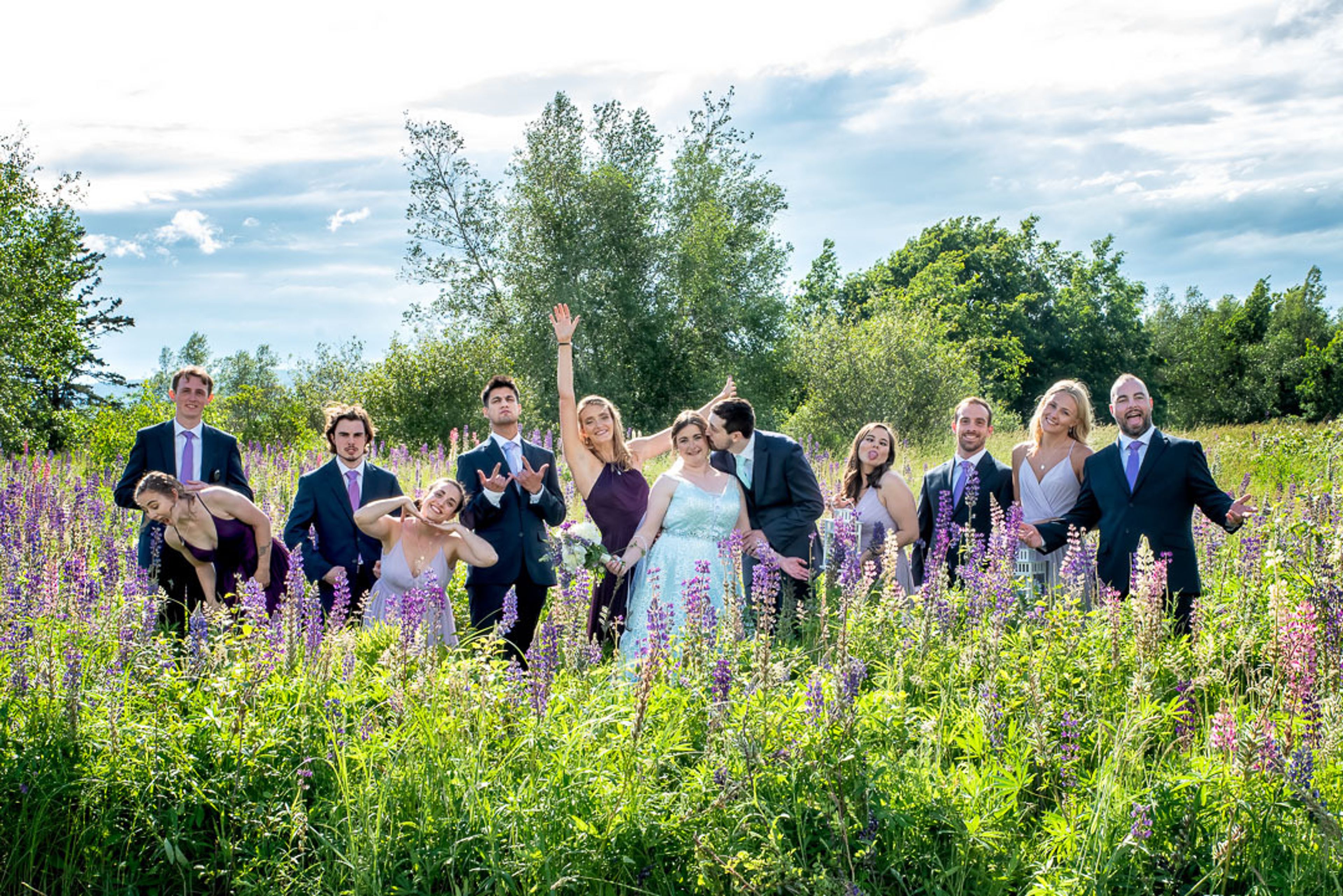 Cover photo of Sandra Adamson Studios