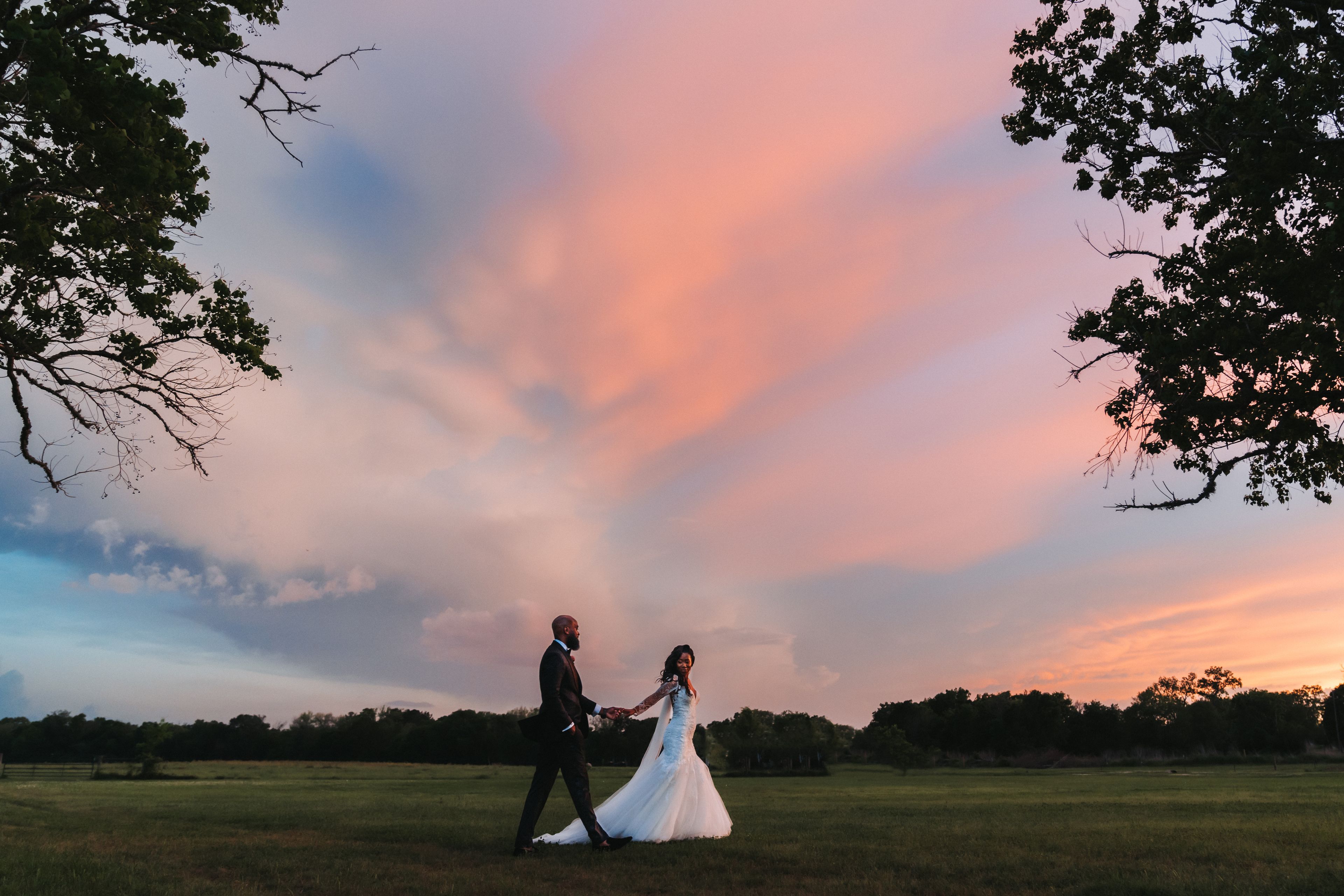 Cover photo of Ambrosia & Nectar Events