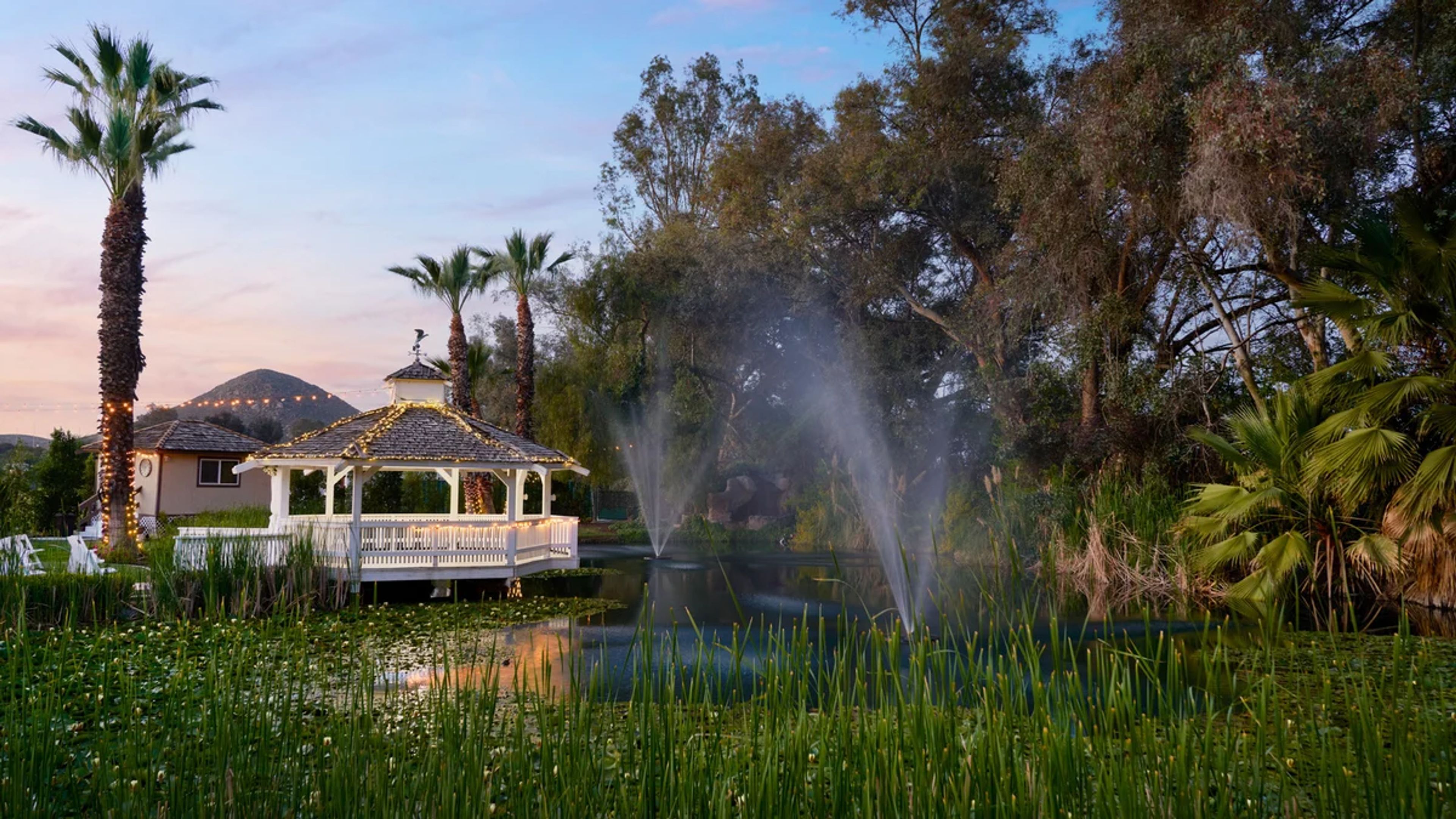 Cover photo of The Orchard by Wedgewood Weddings