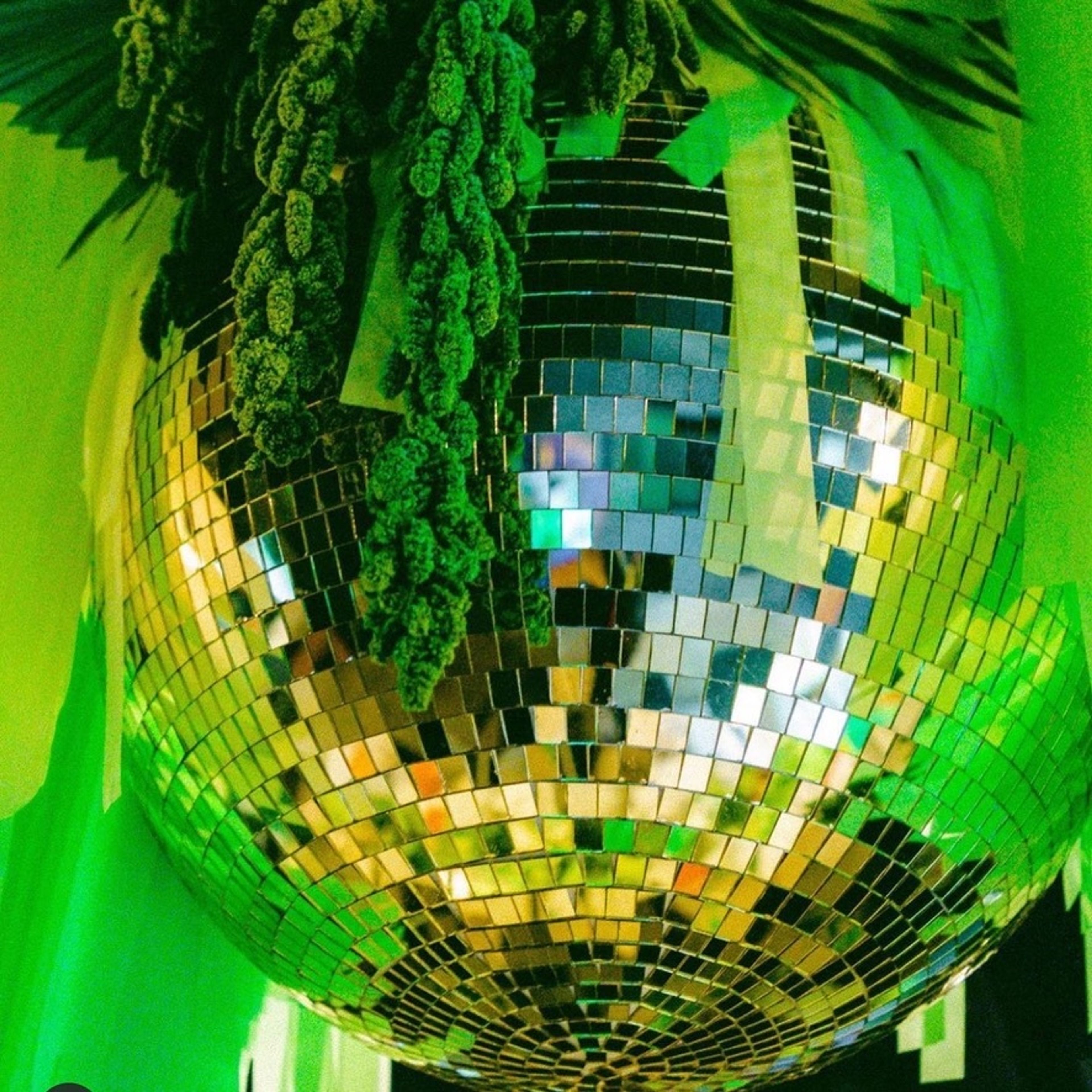 Cover photo of a little party co