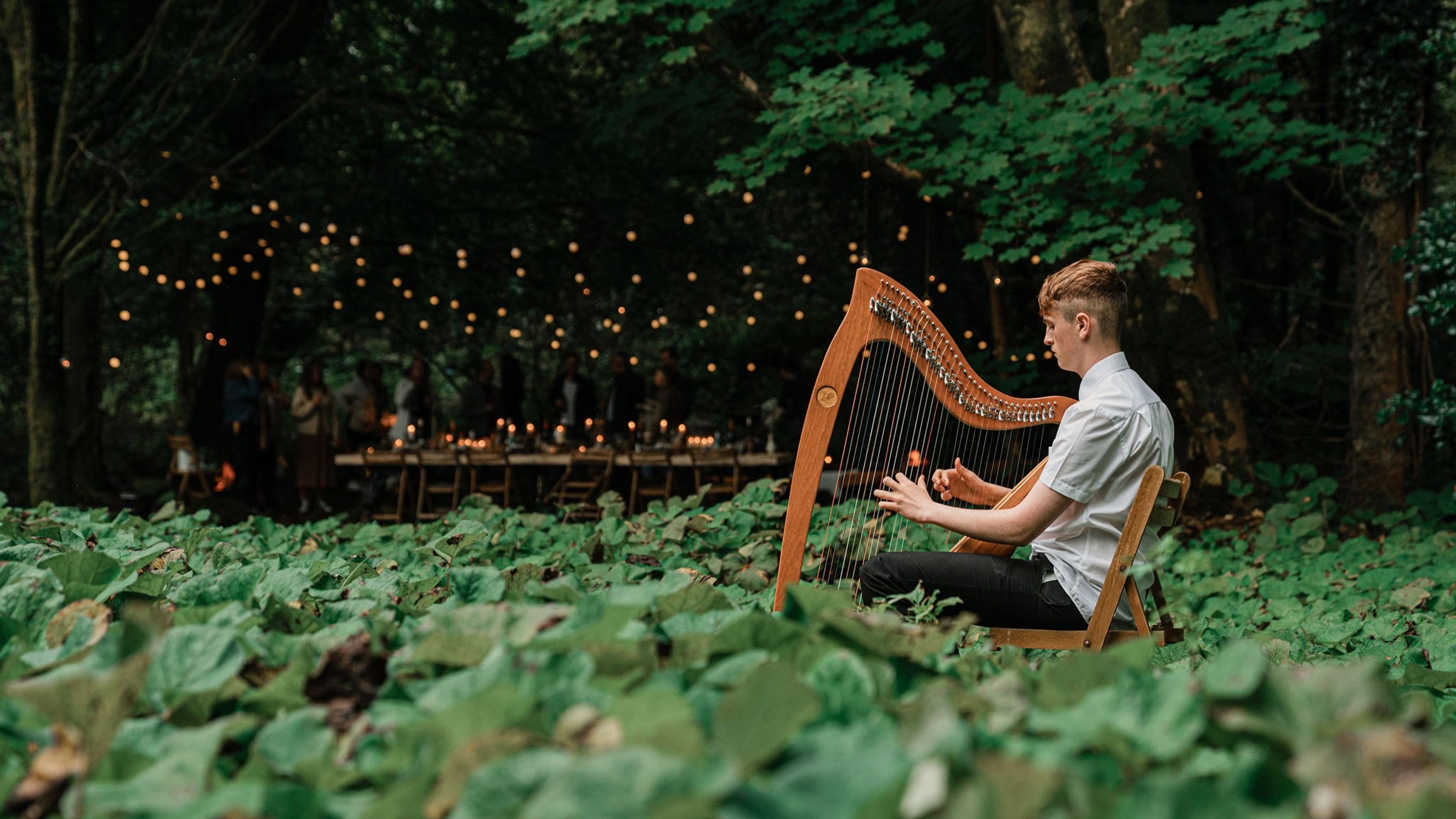 Cover photo of Wilde Dining