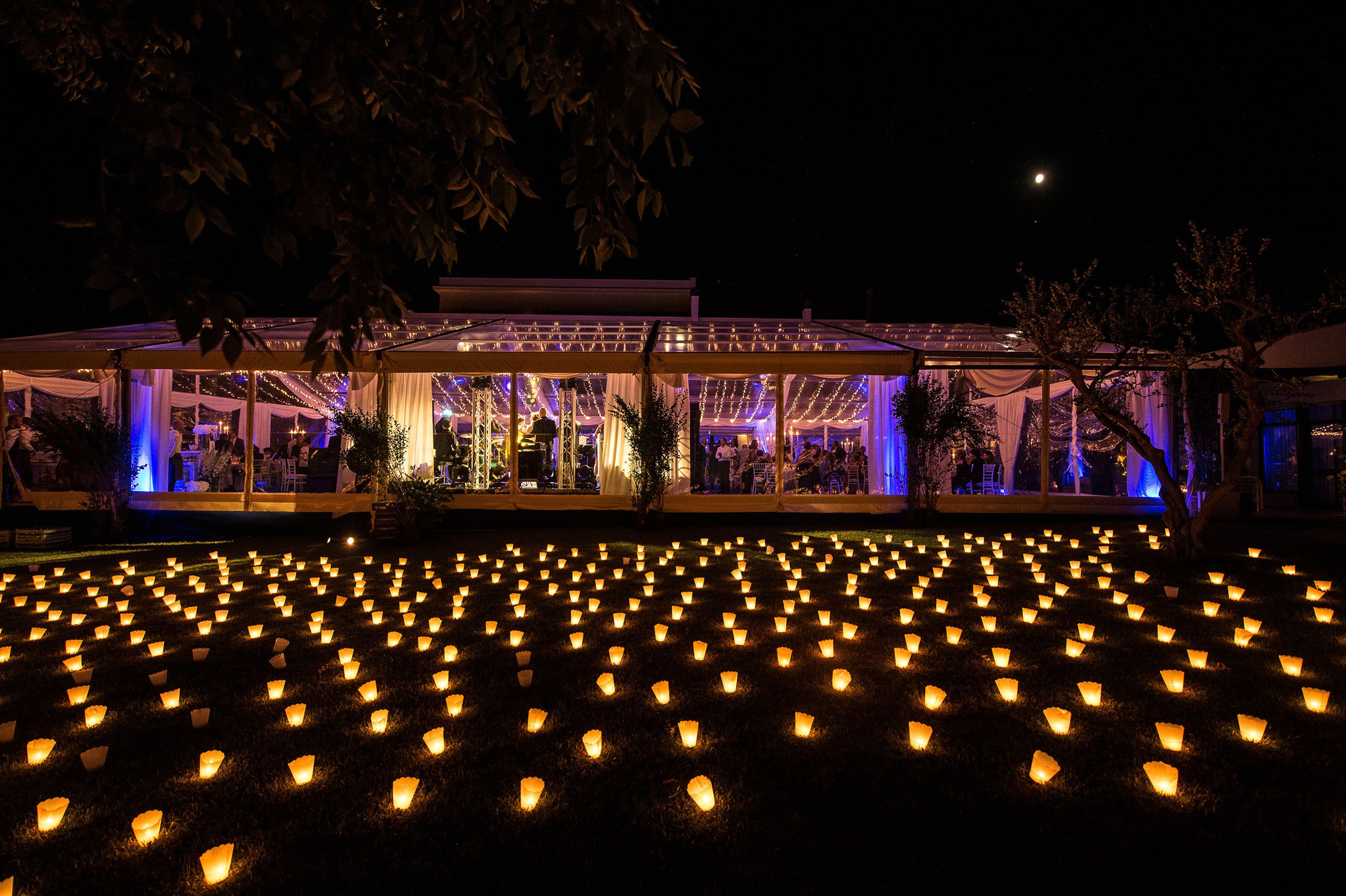 Cover photo of The Italian Planners