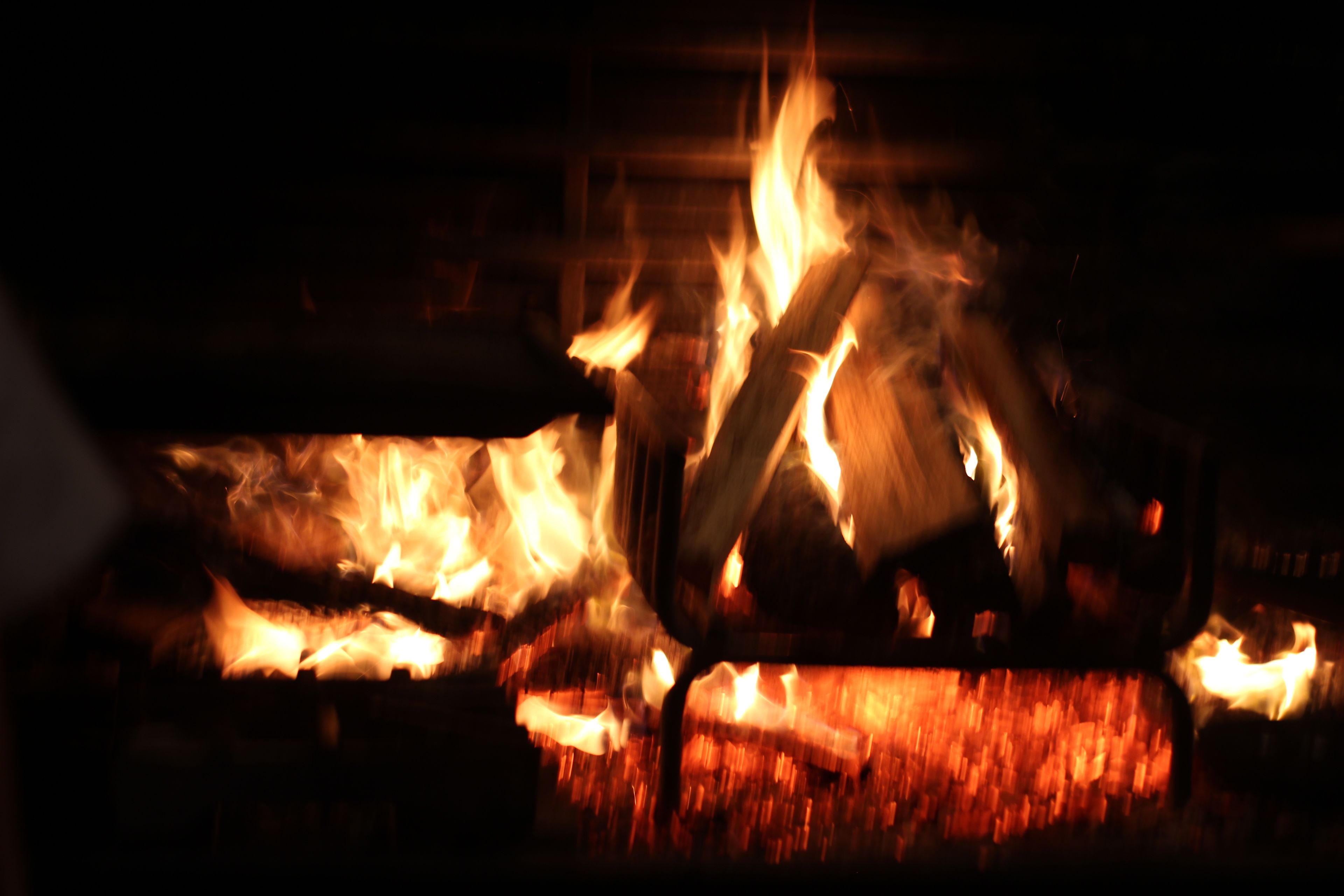 Cover photo of Léon 1909