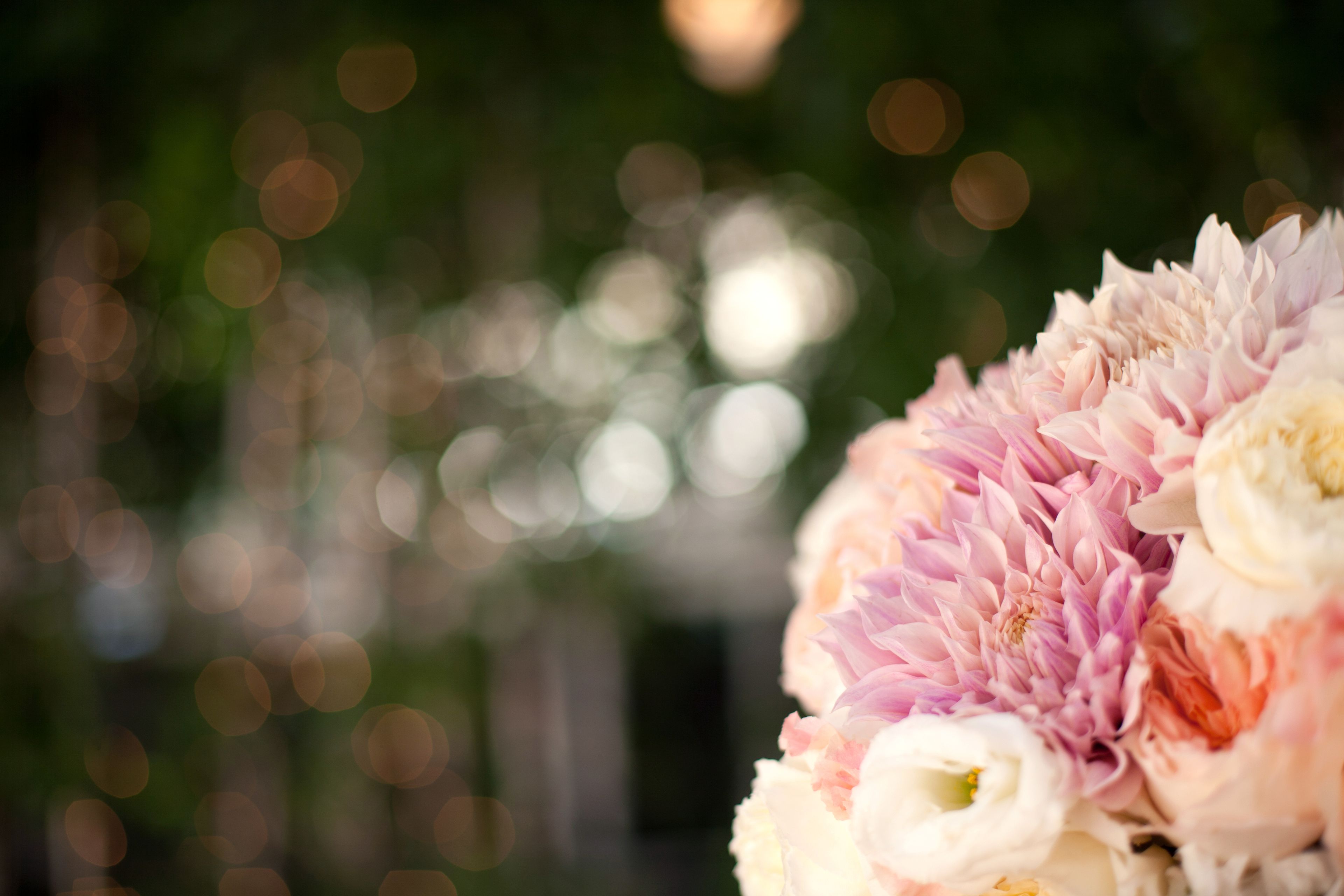 Cover photo of Yvette Roman Photography