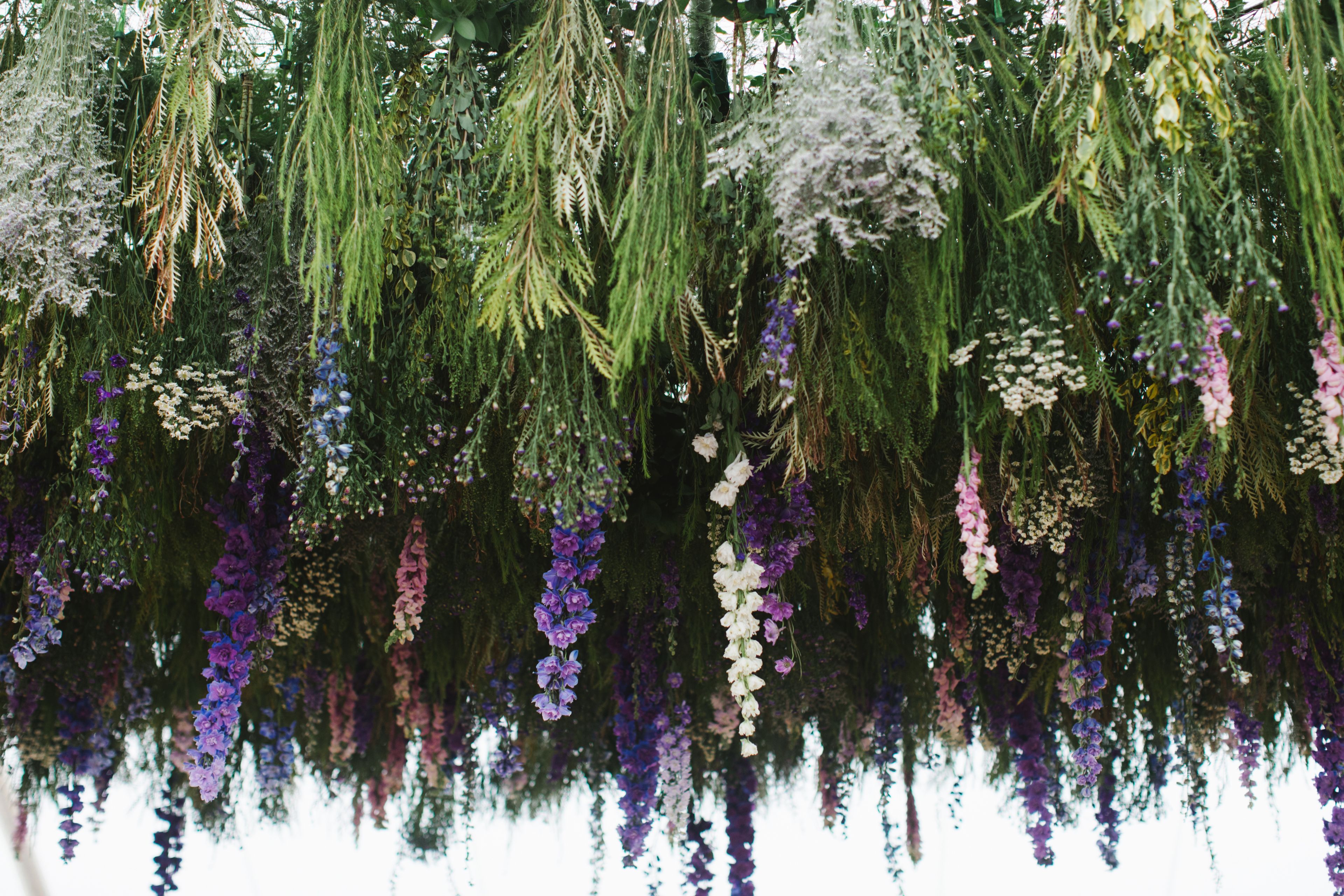 Cover photo of 42 North