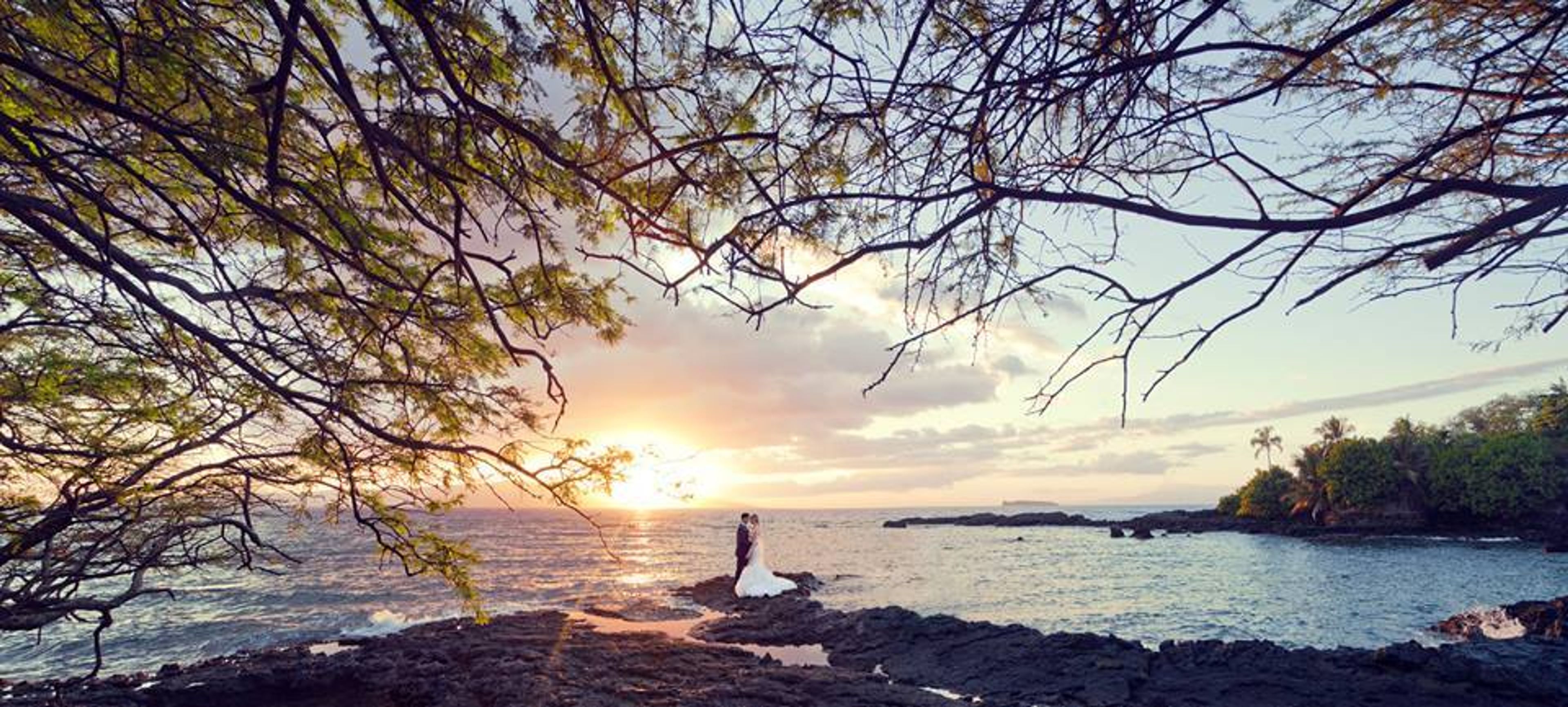 Cover photo of Maui's Angels