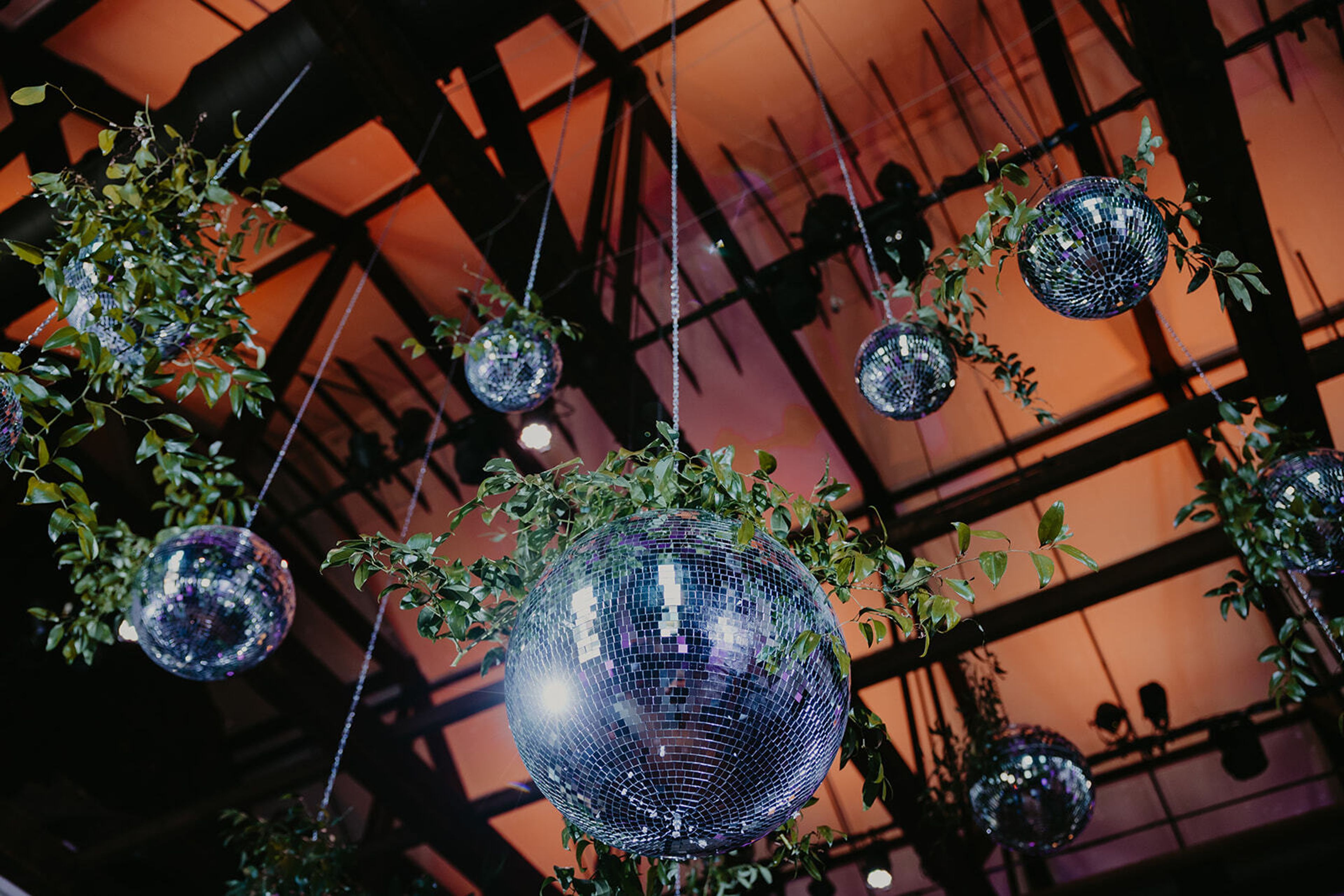 Cover photo of Noëlle’s Haus of Flowers