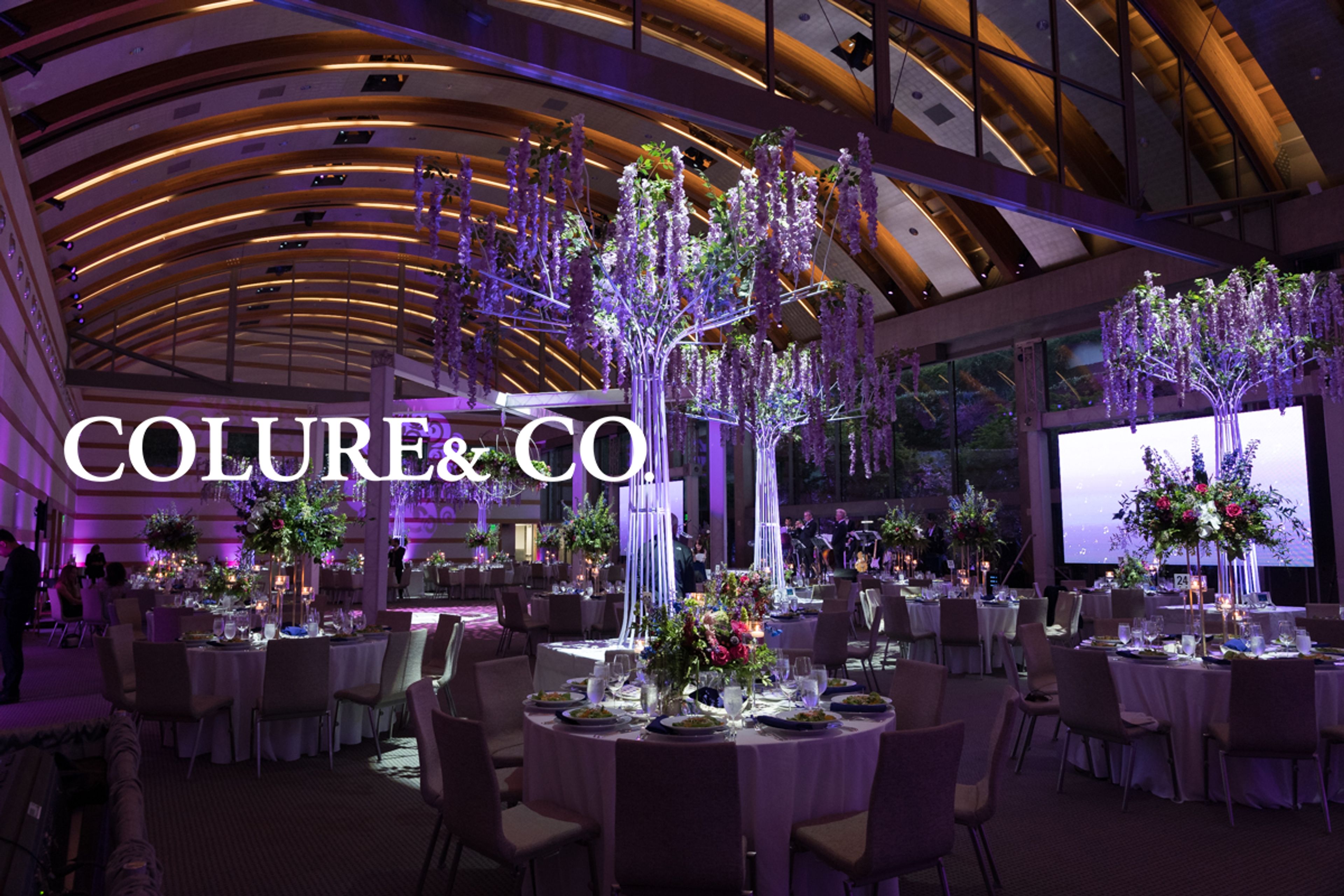 Cover photo of Colure& Co