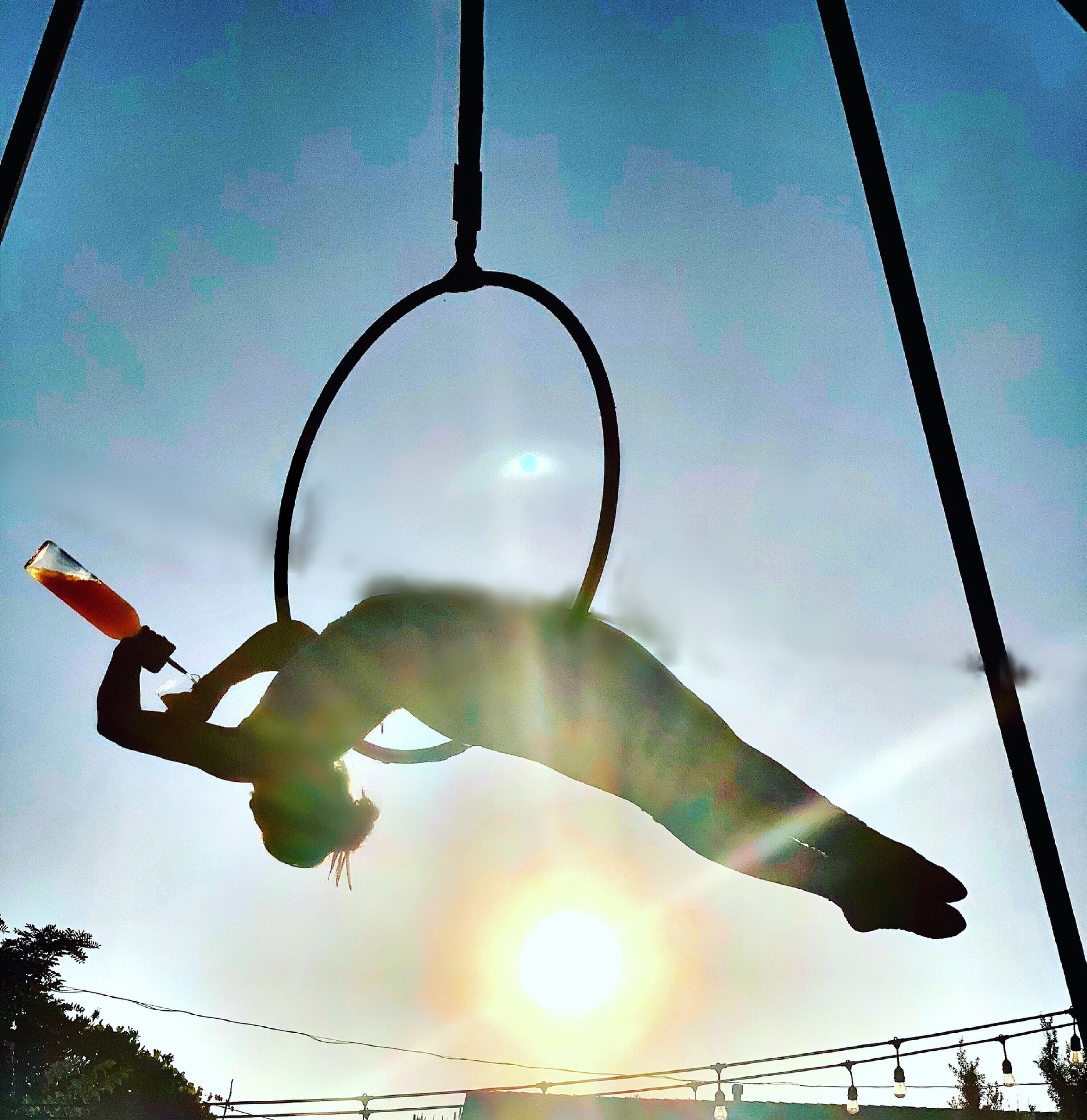 Cover photo of Aerialogists