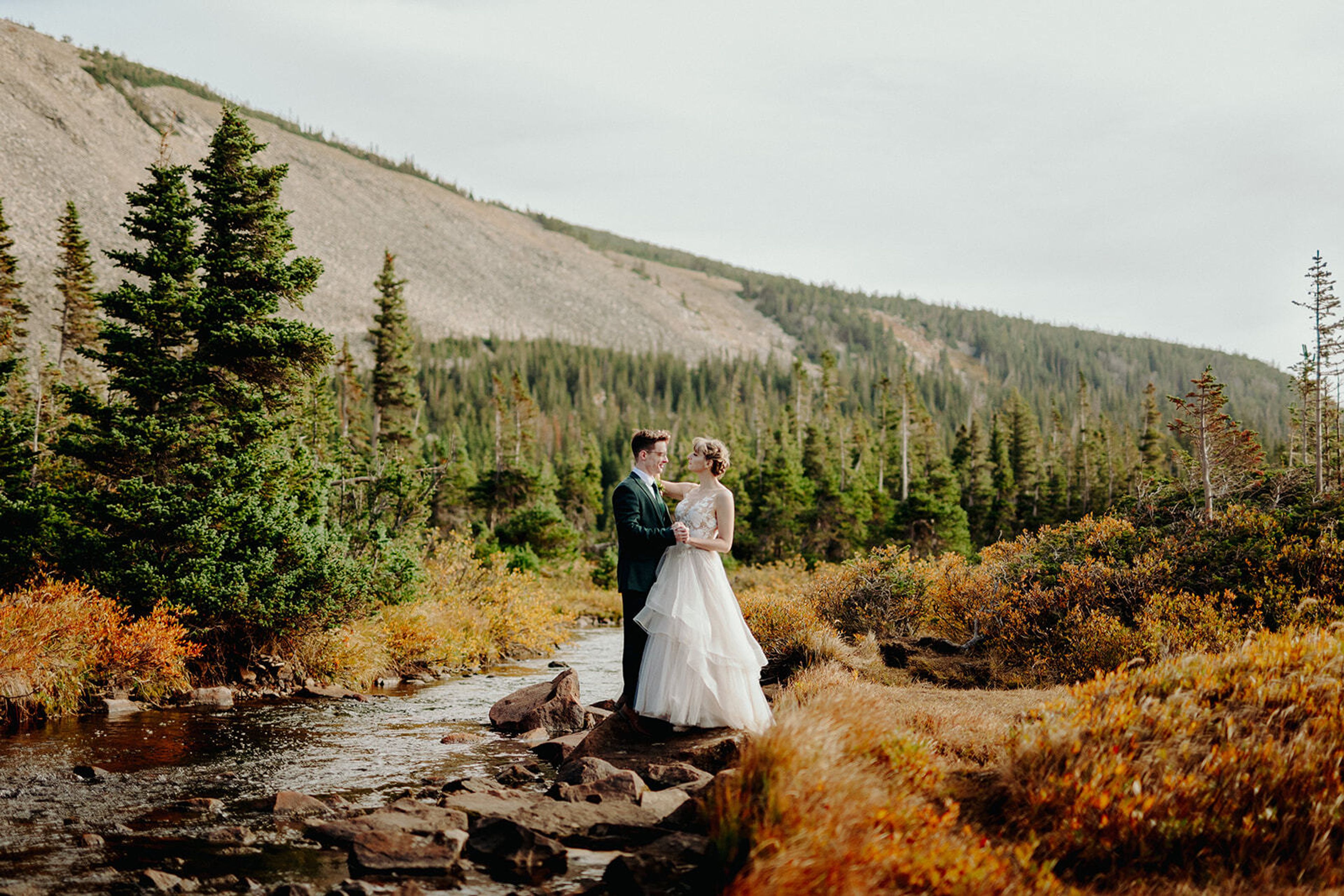 Cover photo of Francis Sylvest