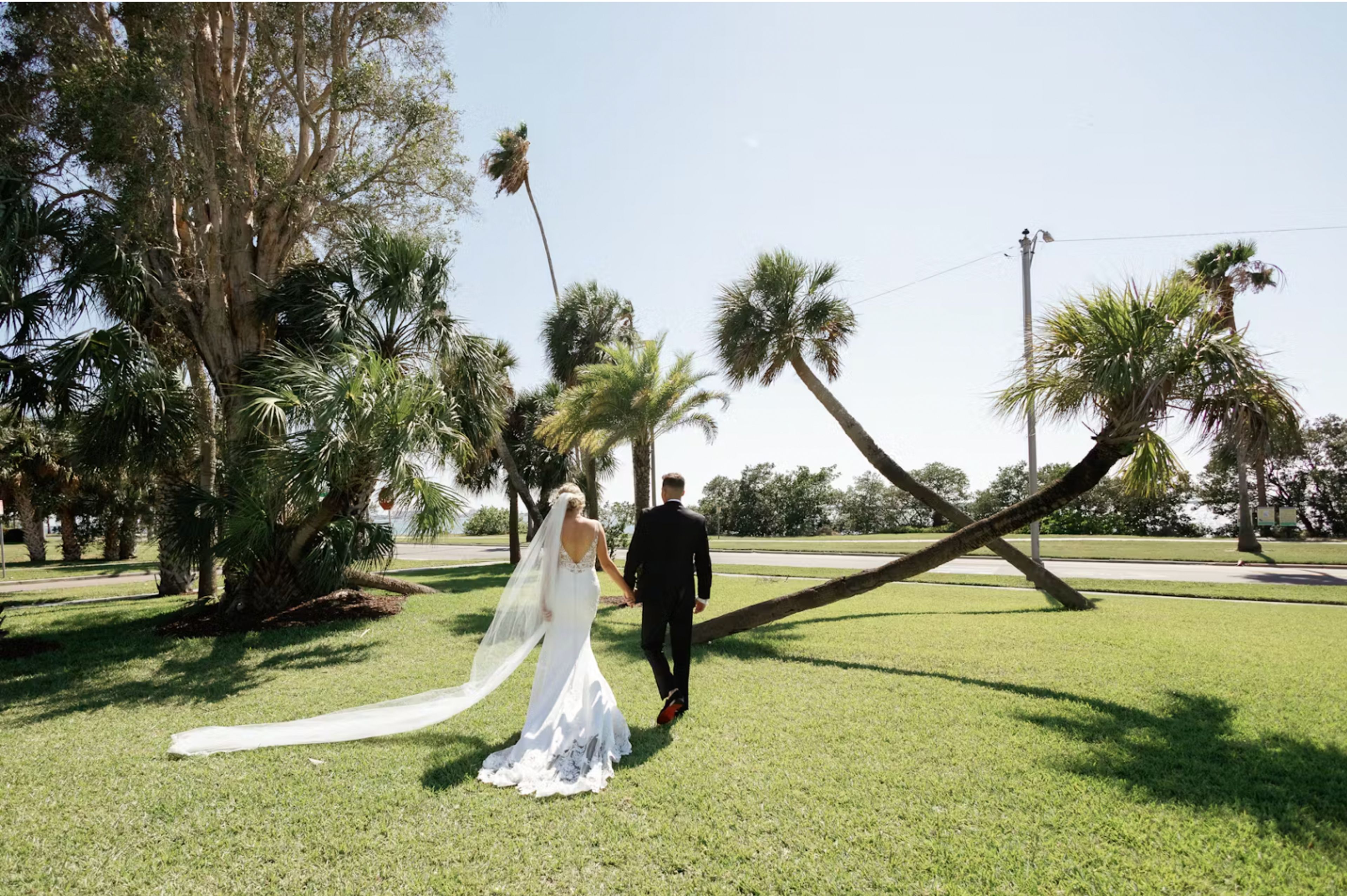 Cover photo of Curate Entertainment