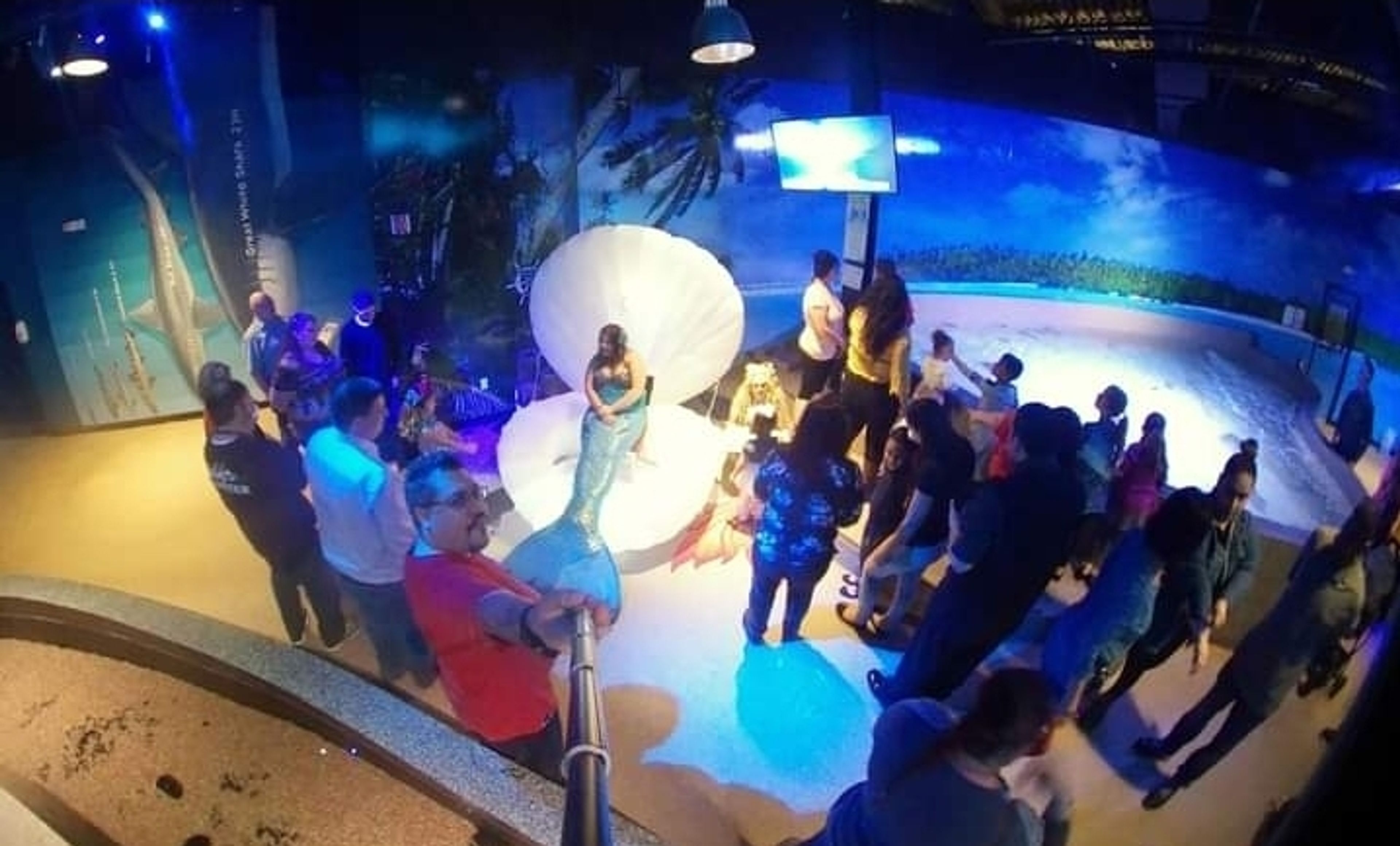 Cover photo of New York Mermaid