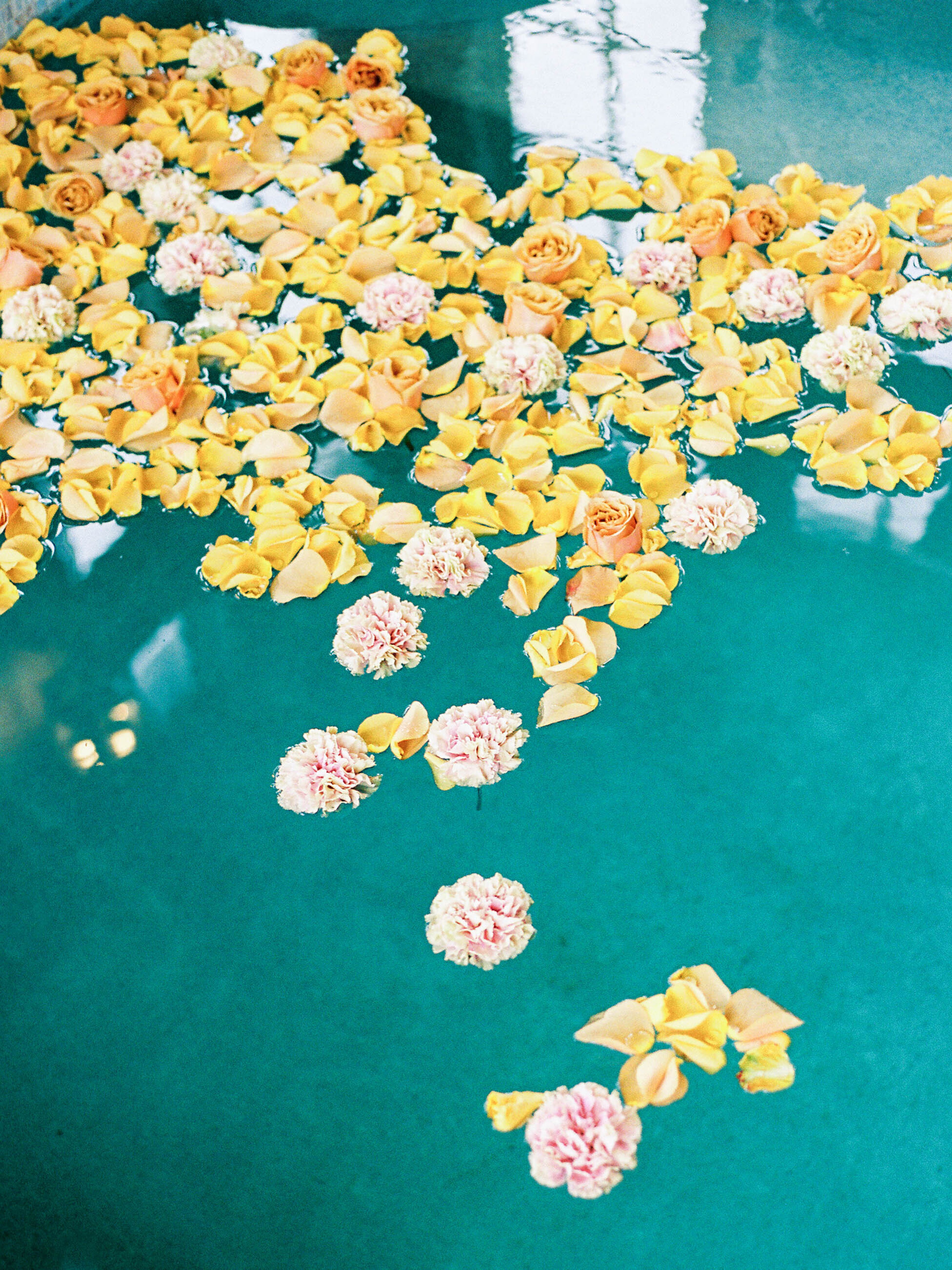 Cover photo of Jennifer Nolan Photography LLC