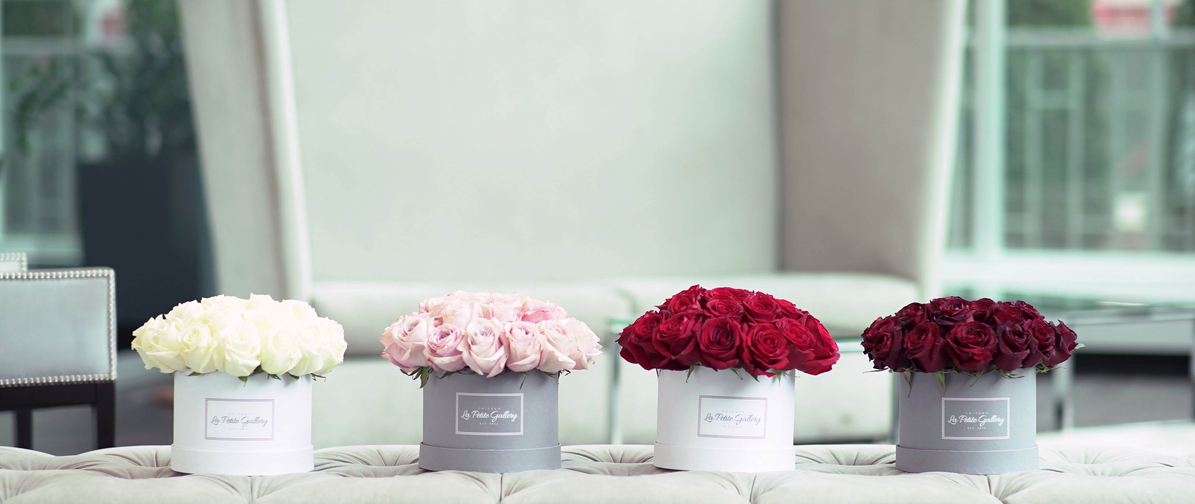 Cover photo of La Petite Gallery