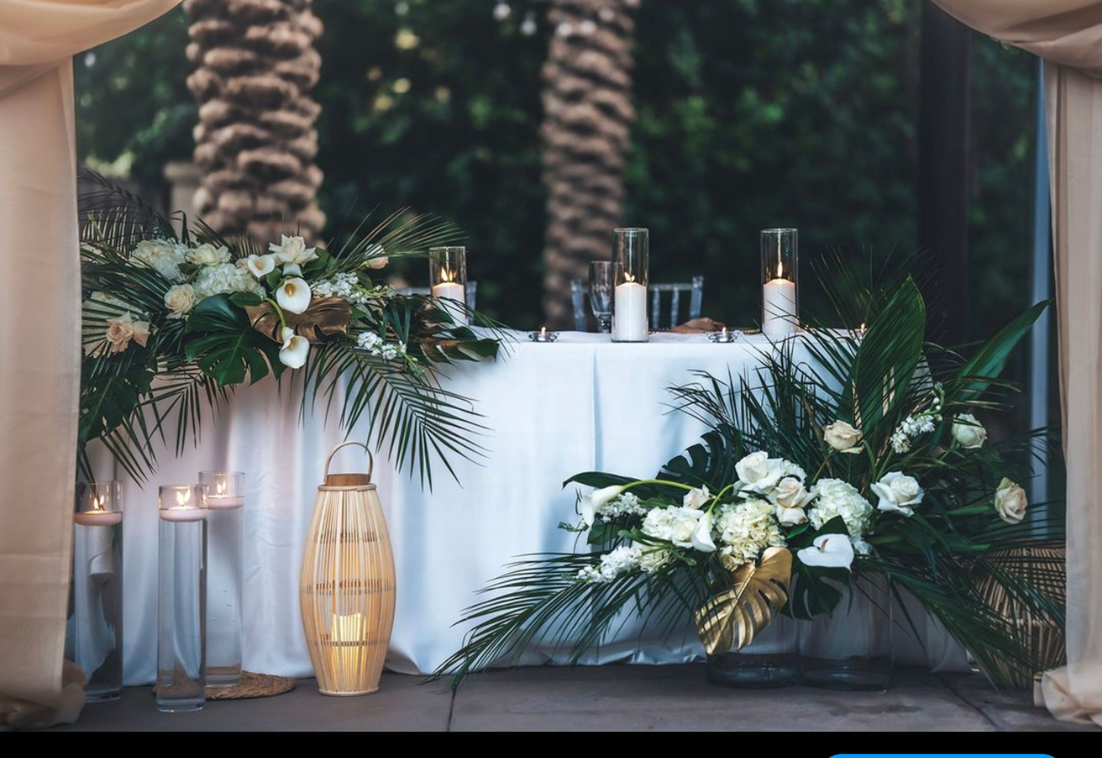 Cover photo of Desert Vibe Events