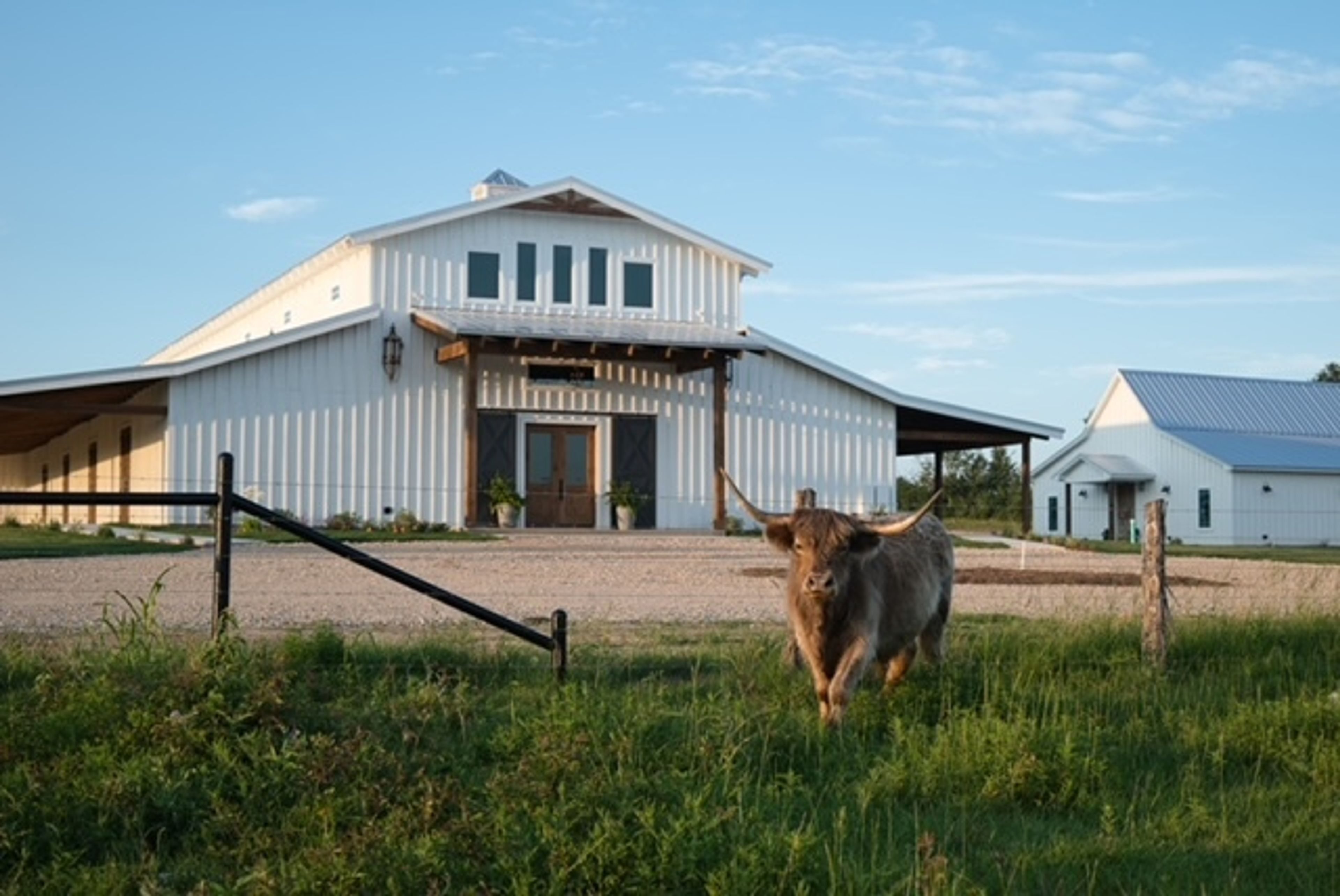 Cover photo of Hummingbird Hill