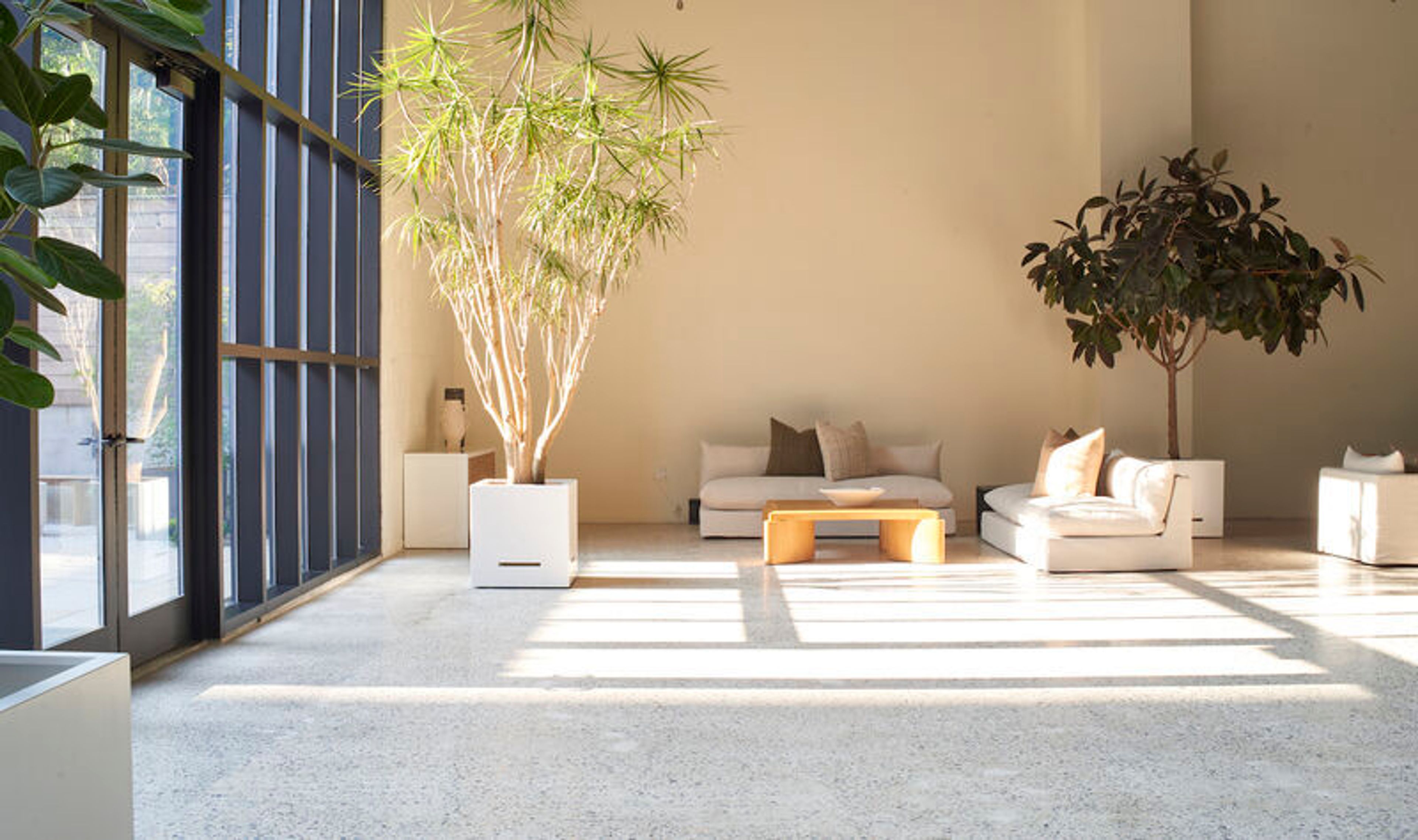 Cover photo of Shell's Loft Fort Greene