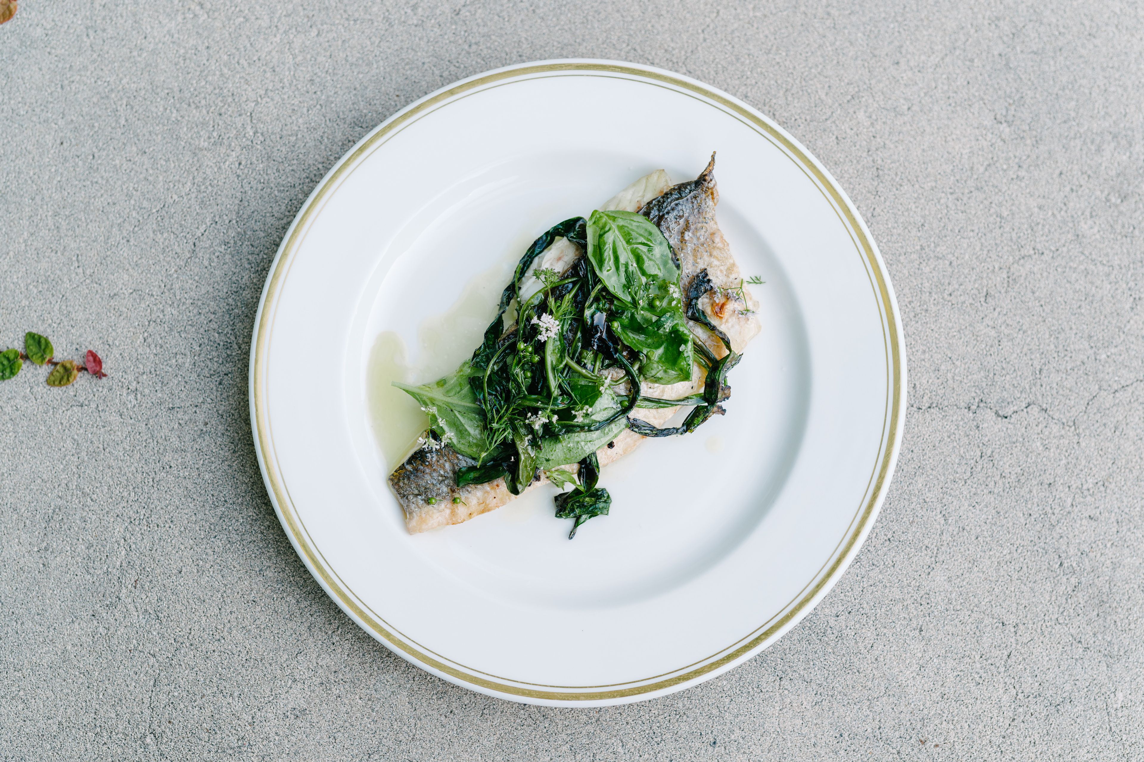 Cover photo of Stella Caters