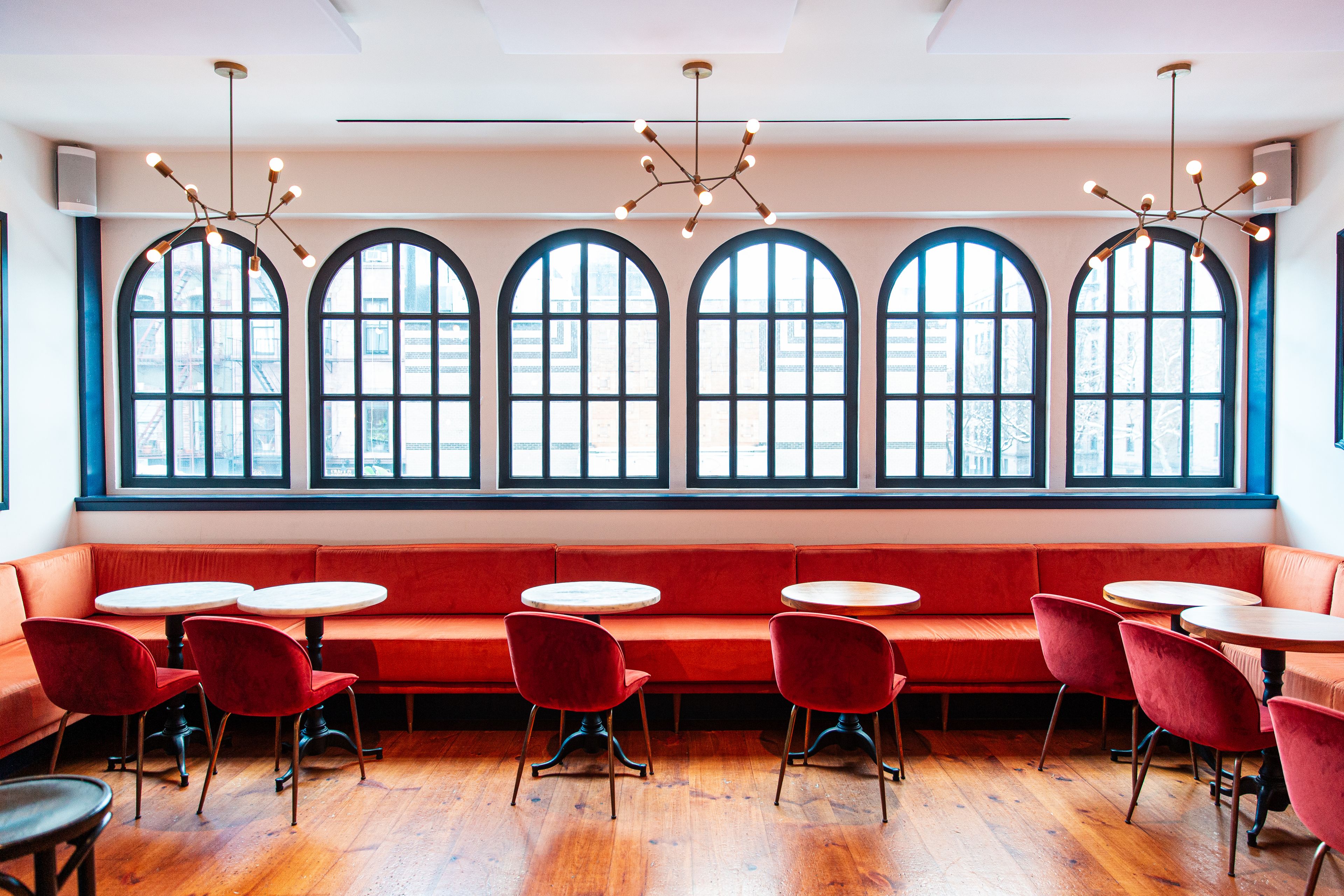 Cover photo of Jungle Bird