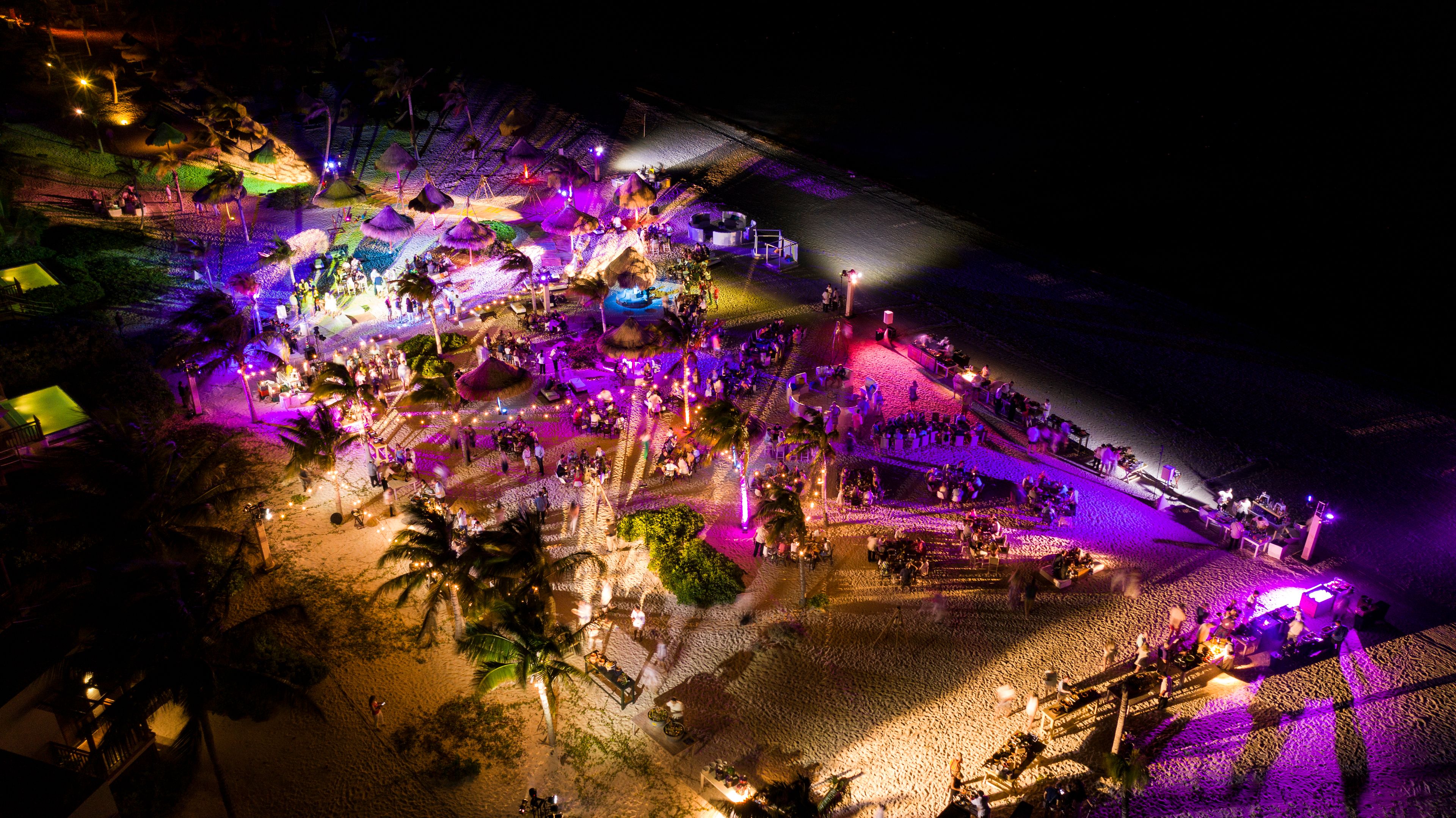 Cover photo of Absolutely Wild LLC