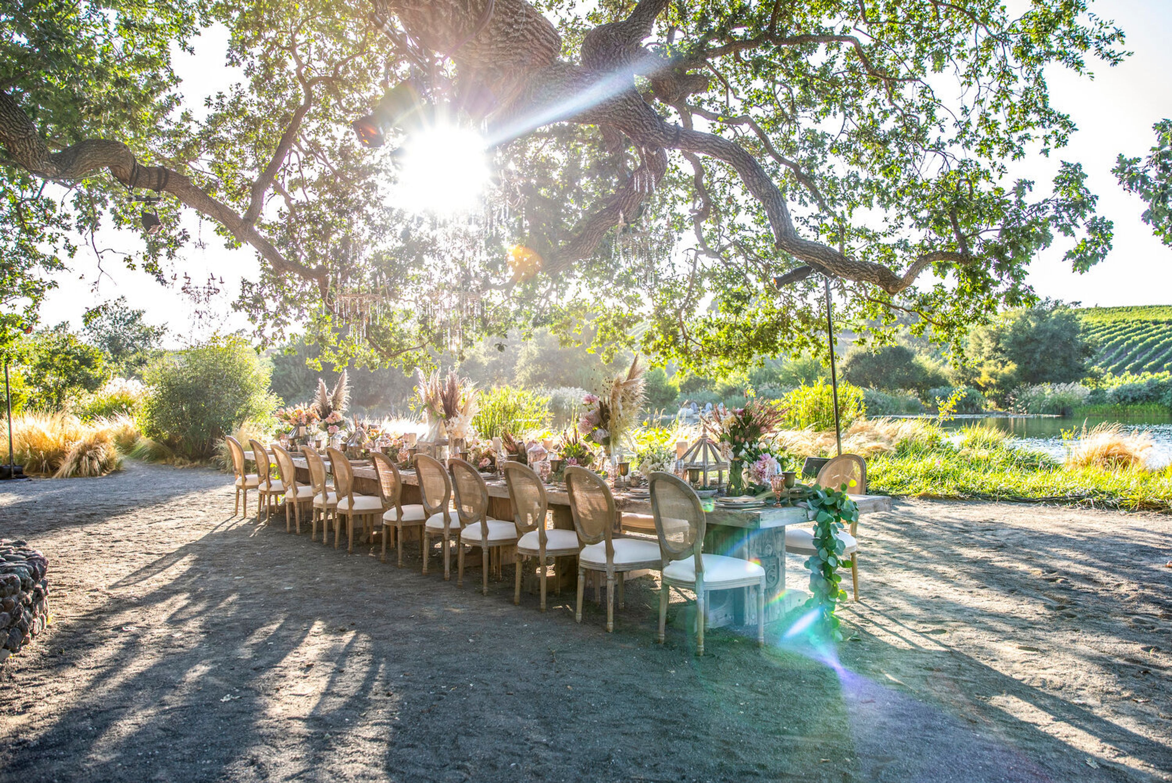 Cover photo of Zoe Production Floral