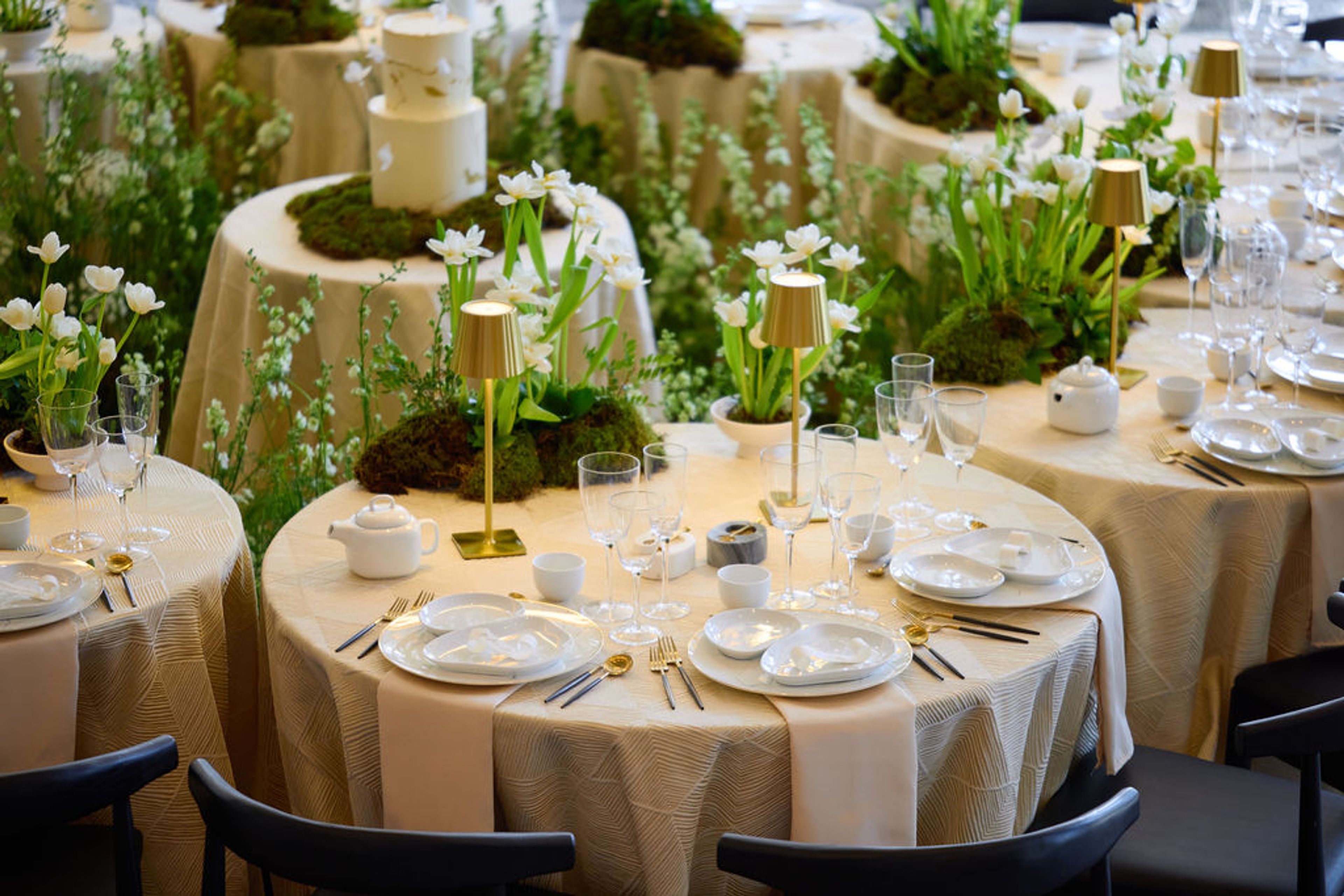 Cover photo of Champagne & Confetti: Celebrations by Catalina