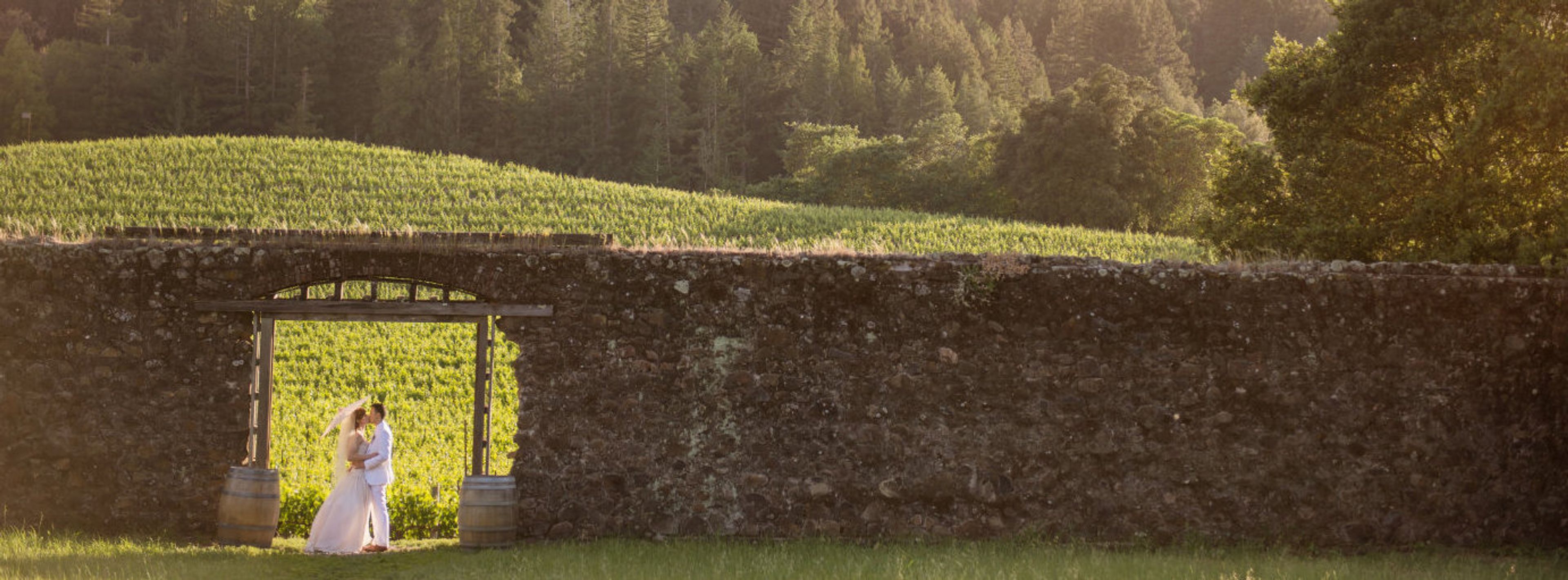 Cover photo of Chelsea Nicole Photography