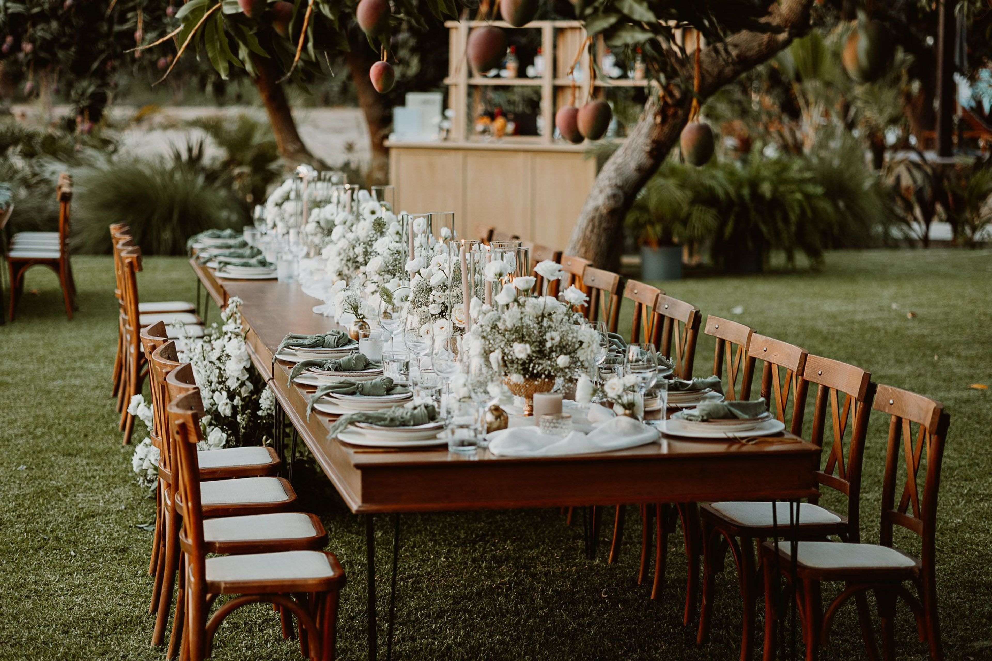 Cover photo of Baja Luna