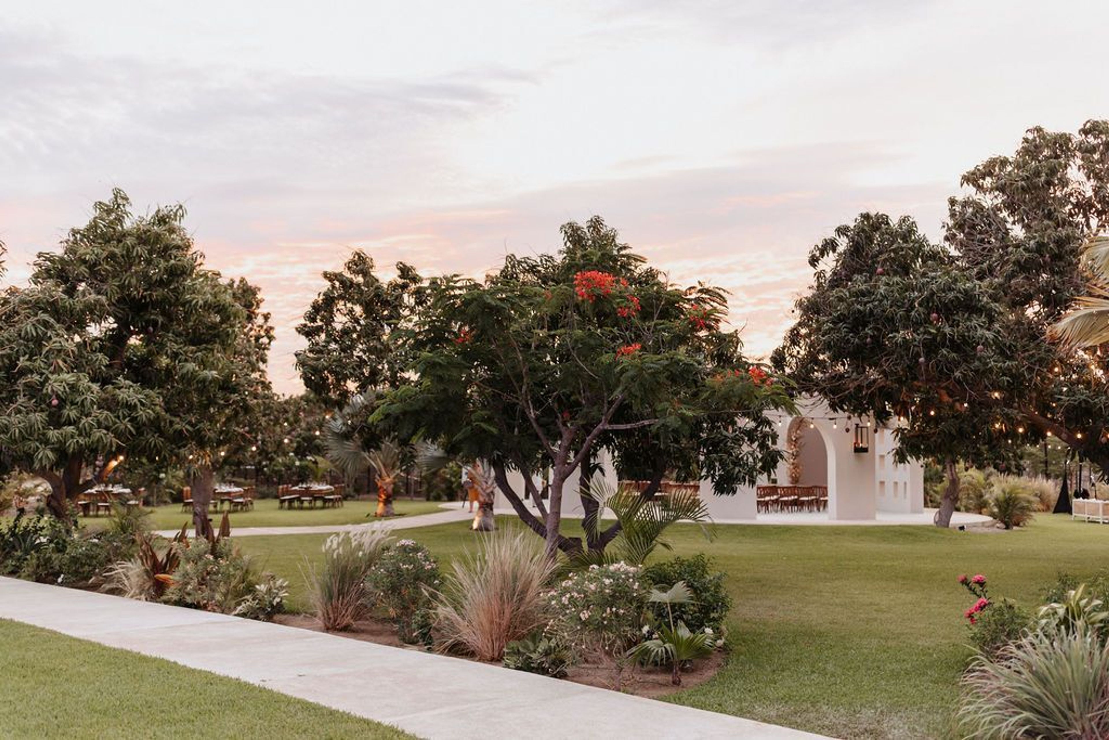 Cover photo of Baja Luna