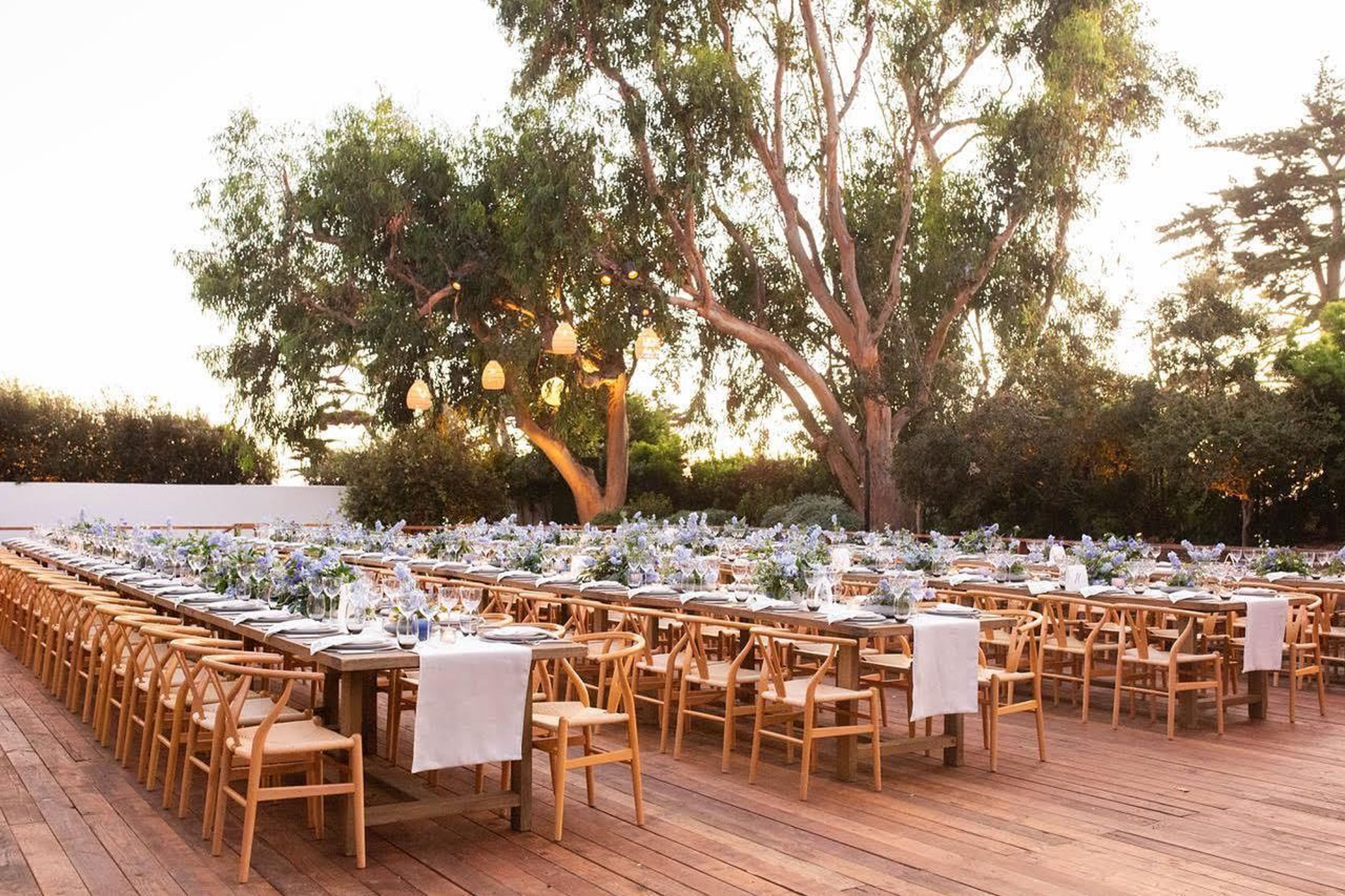 Cover photo of Stephanie Cove & Co