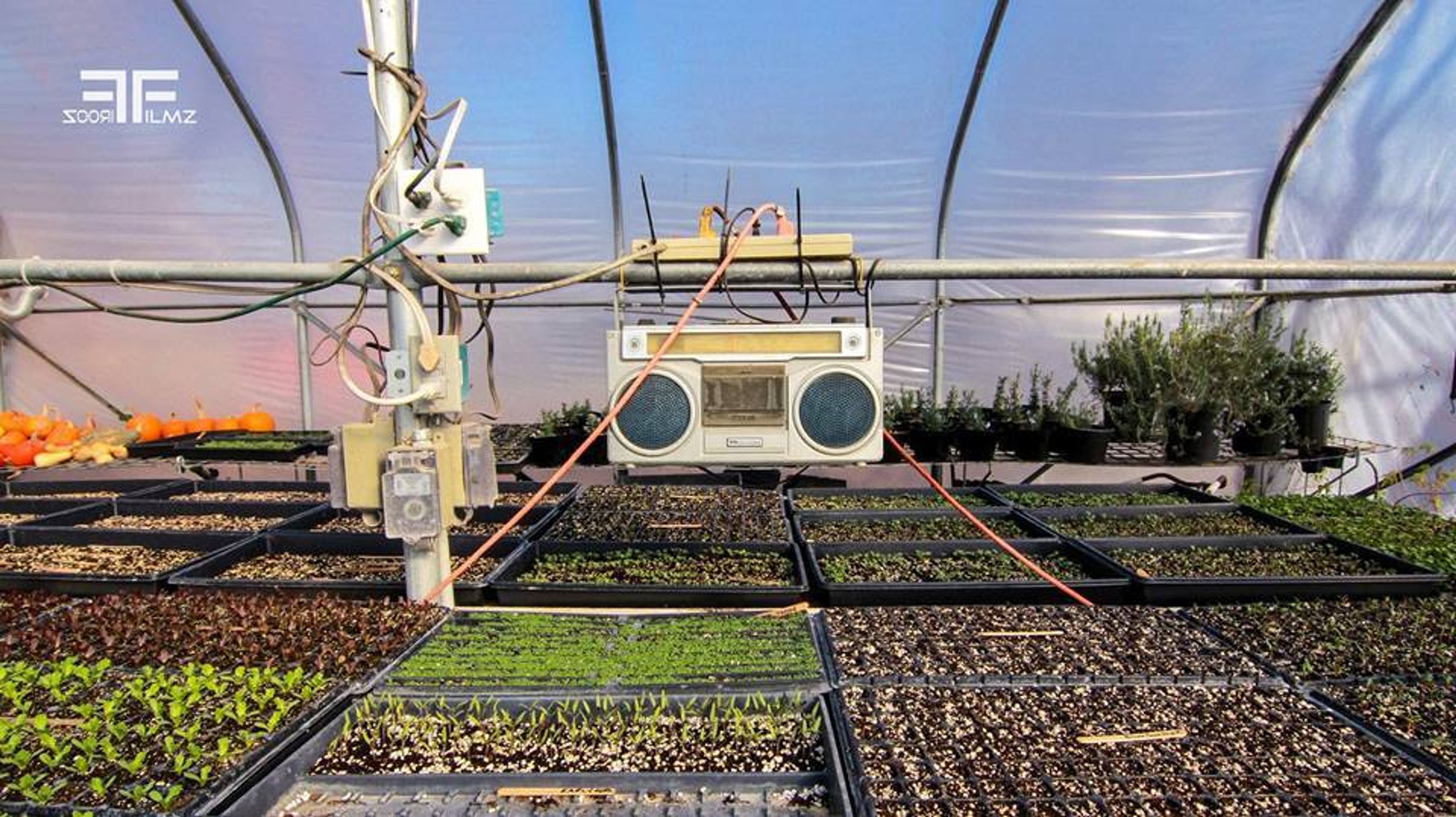 Cover photo of Firooz Films